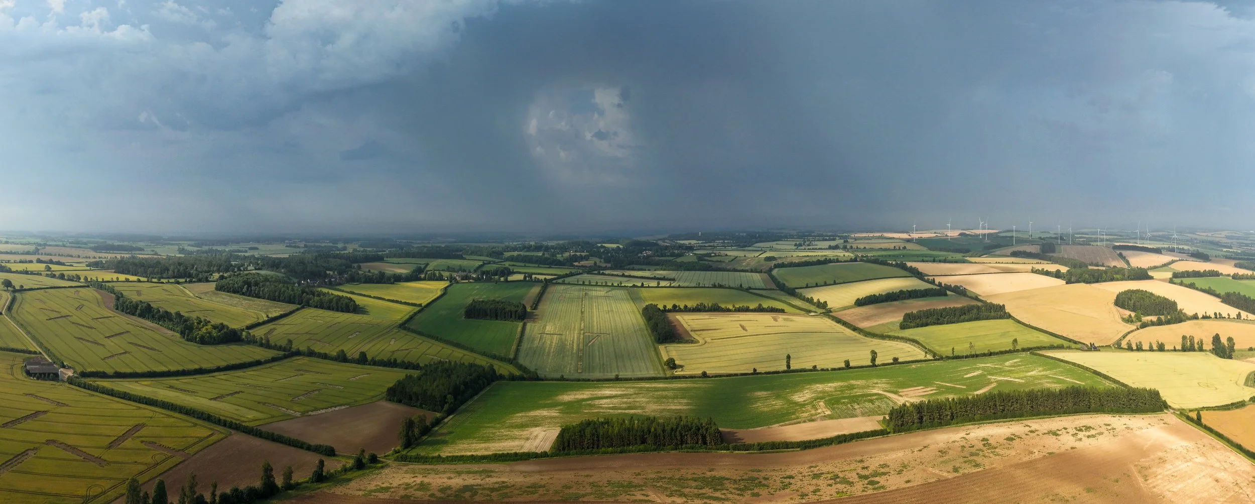 DJI_20260623073823_0083_D-warp.jpg