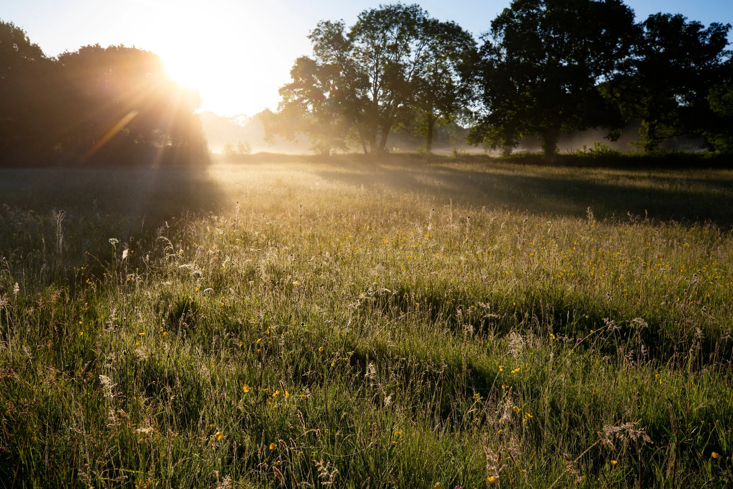 Holland Farm Dawn-13.jpg