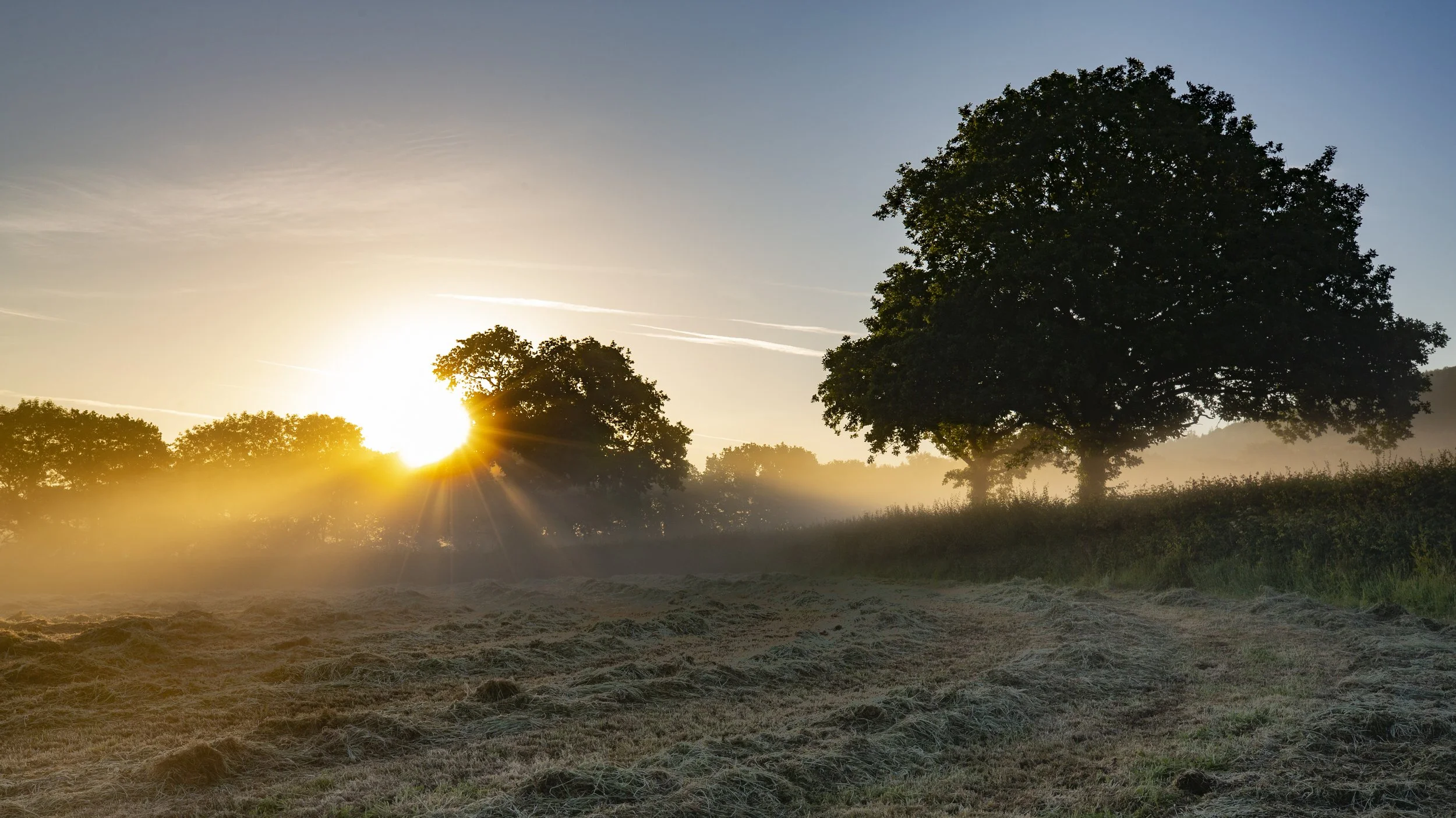 Holland Farm Dawn-1.jpg