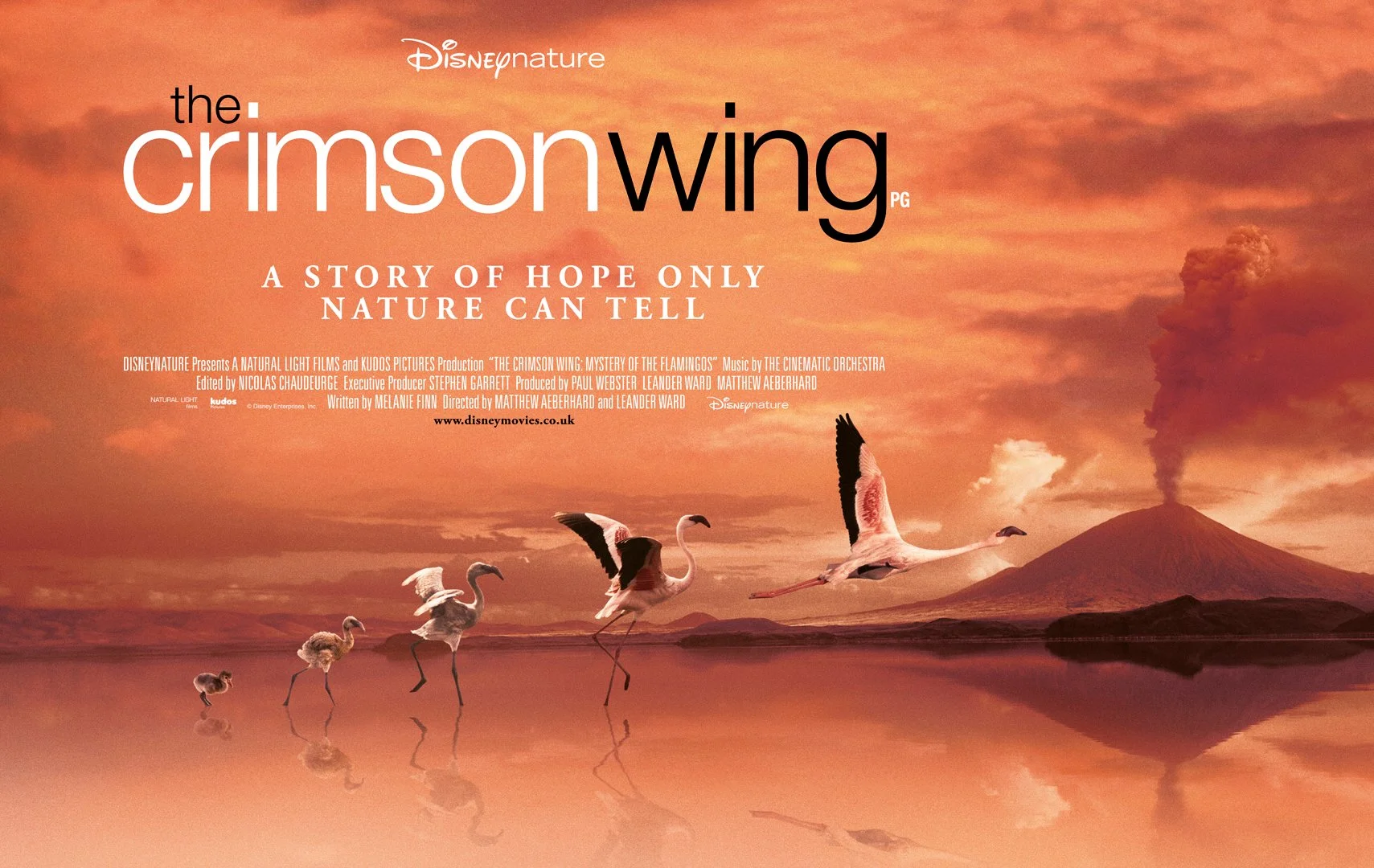 Quad_AW2_[19402] Crimson Wing copy (1).jpeg