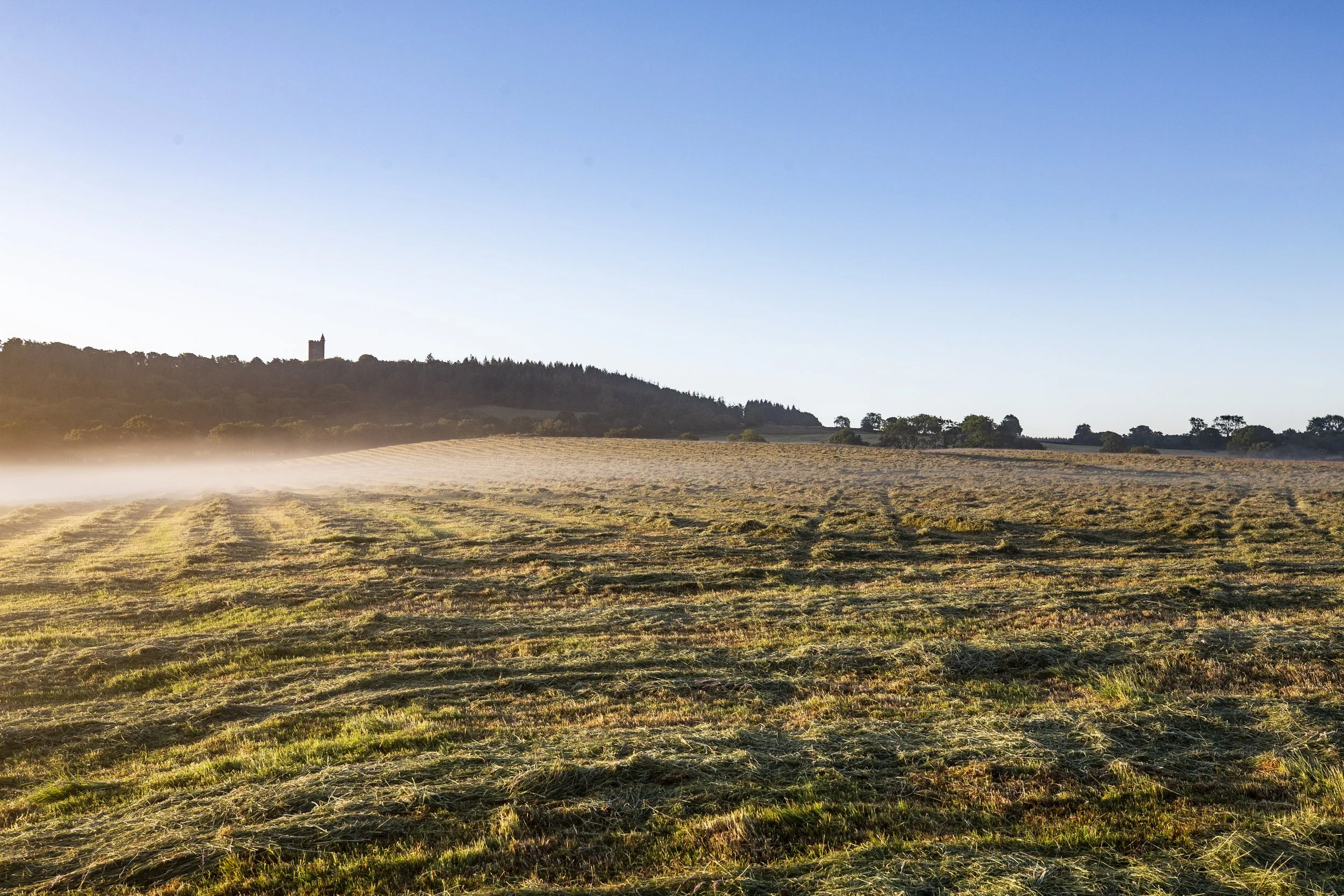 Holland Farm Dawn-5.jpg