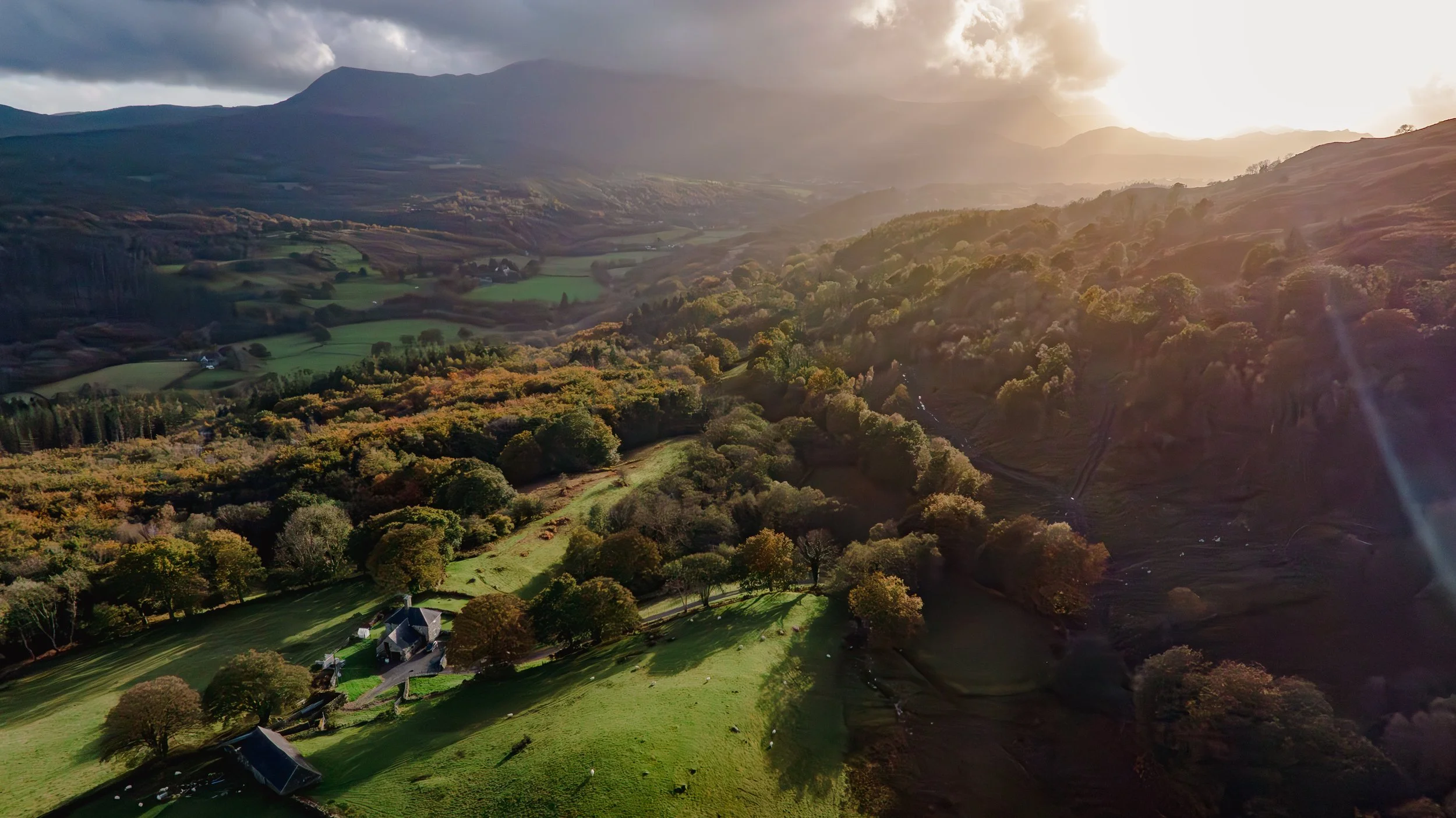 DJI_20241021164958_0188_D-Enhanced-NR.jpg