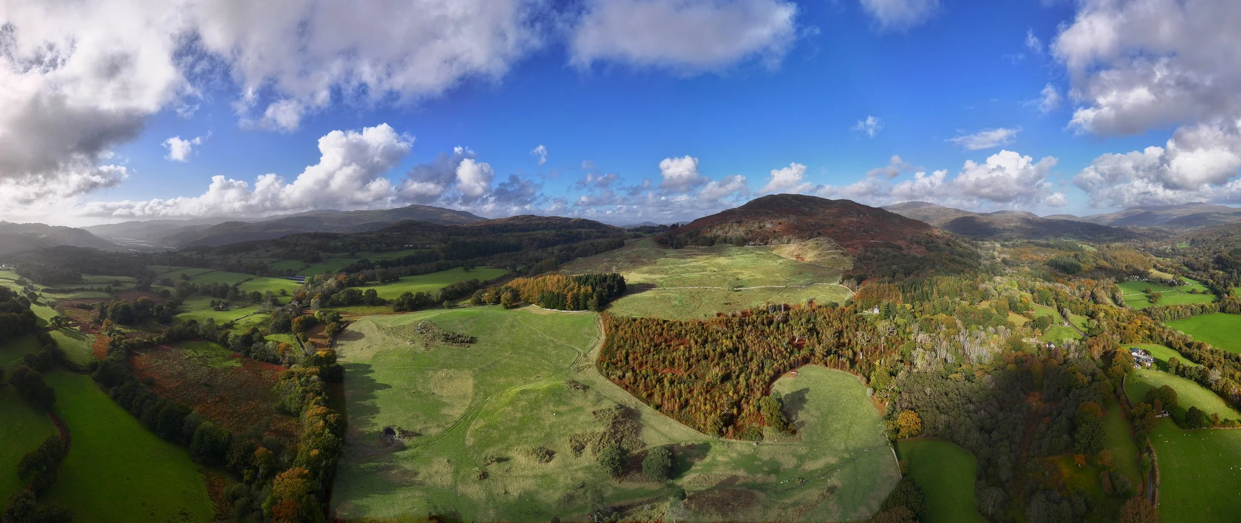 DJI_20241019153730_0091_D_green.jpg