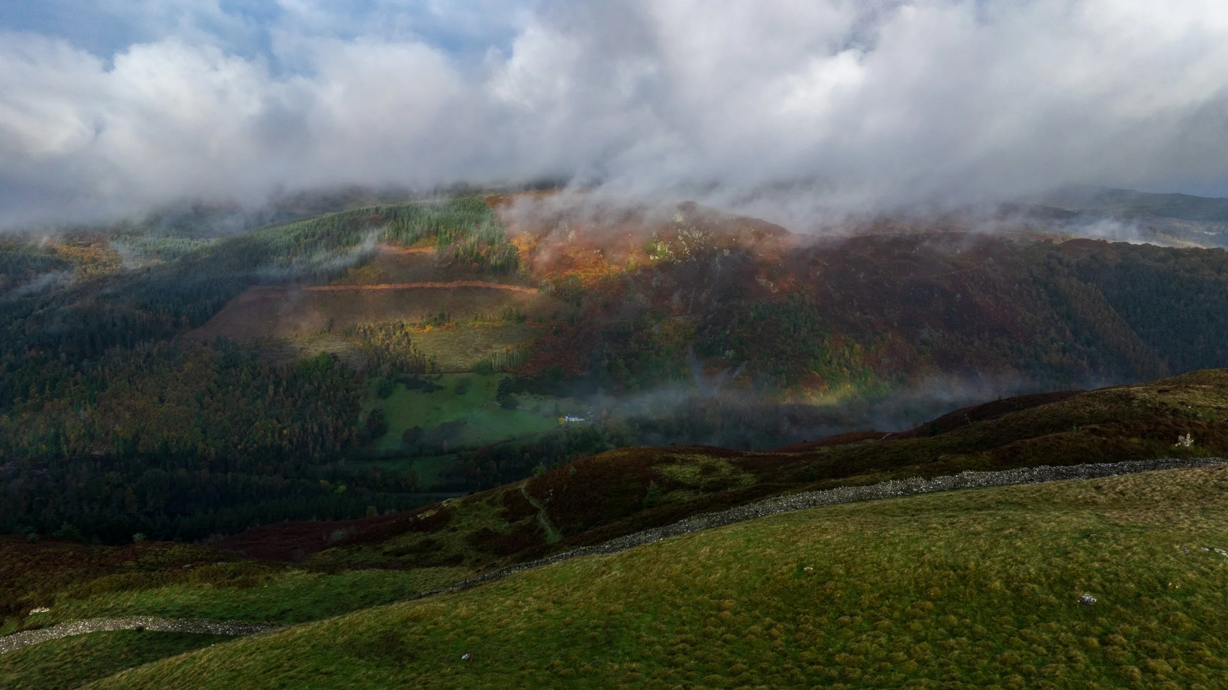 DJI_20241022094802_0230_D.jpg