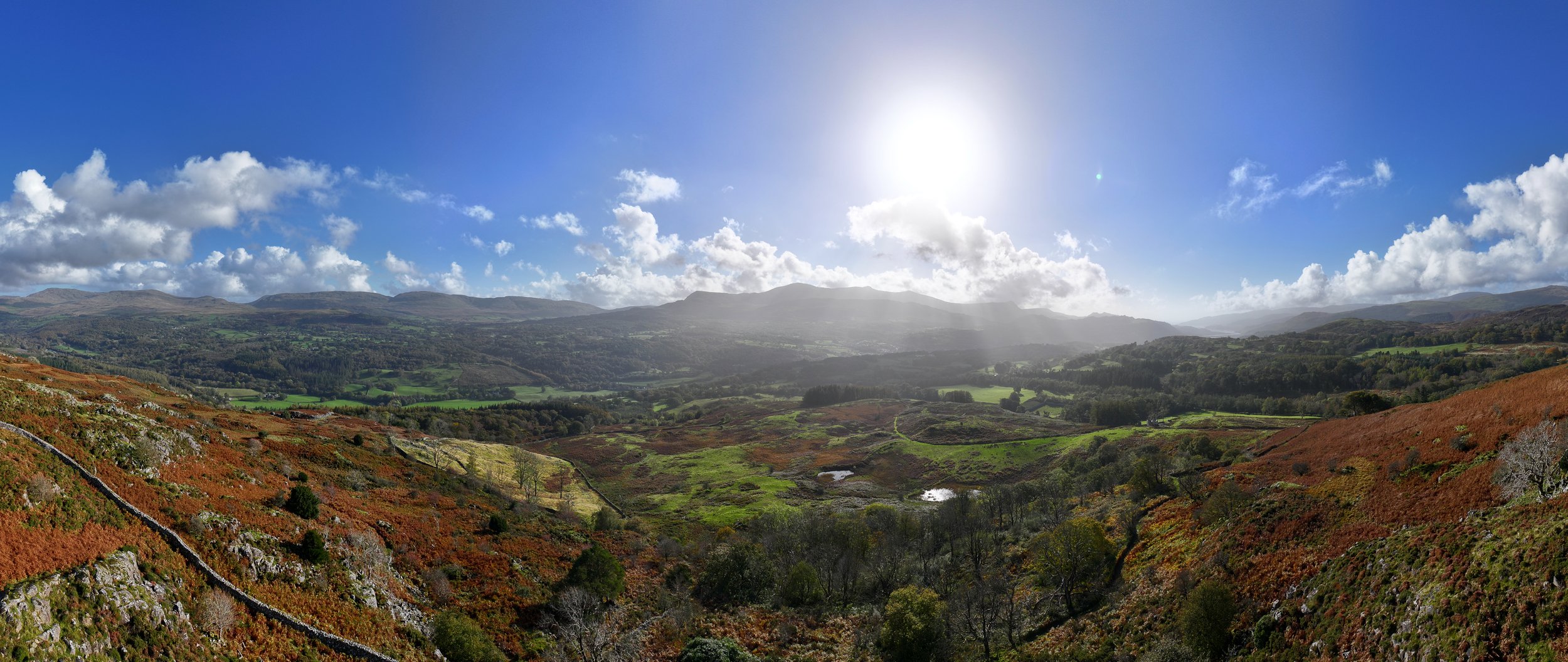 DJI_20241019150731_0083_D-2.jpg
