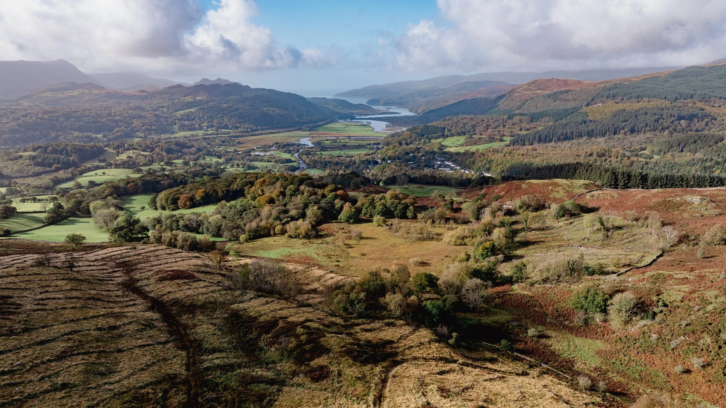 DJI_20241019114304_0050_D.jpg