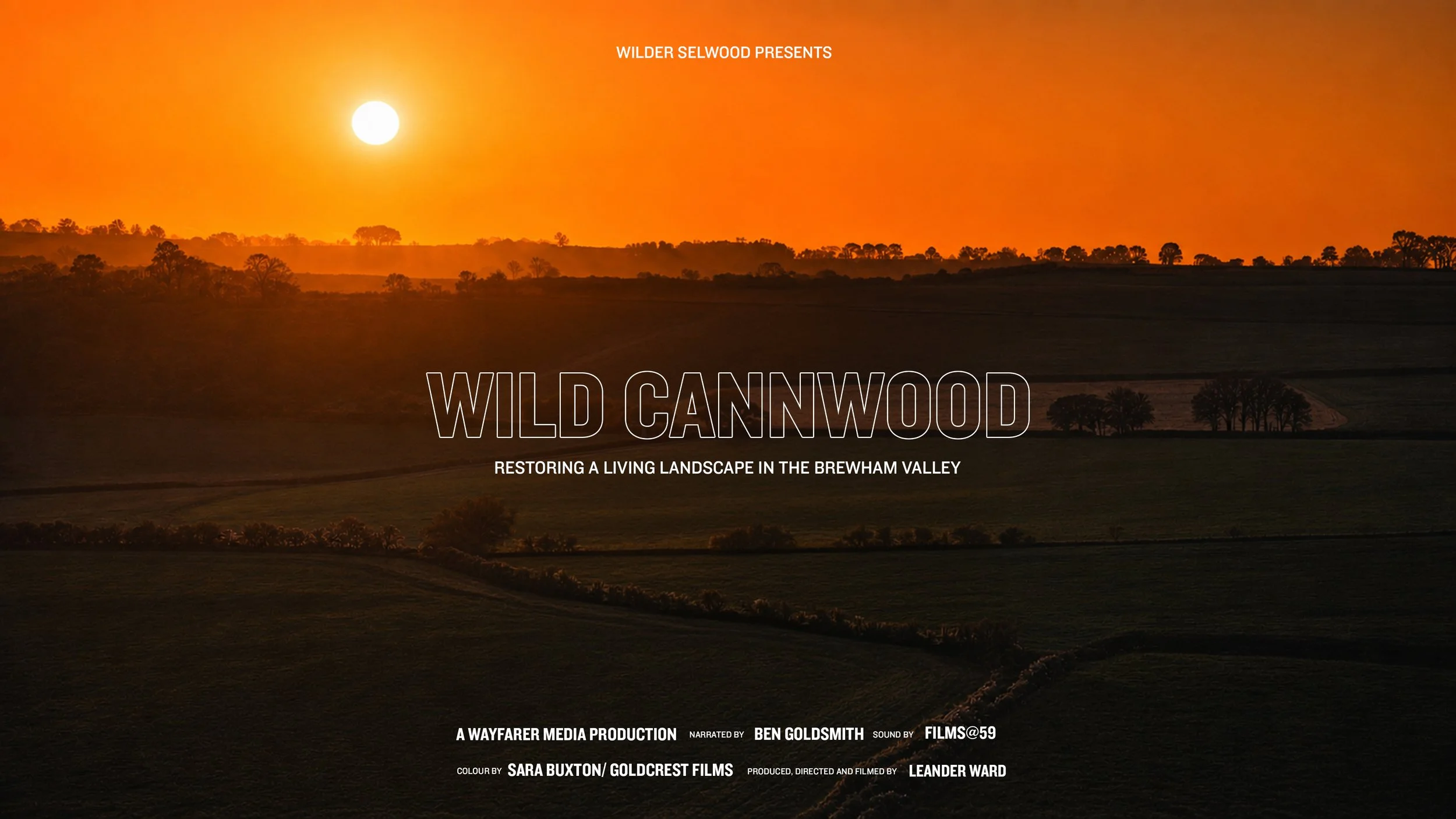 Film Poster.jpg
