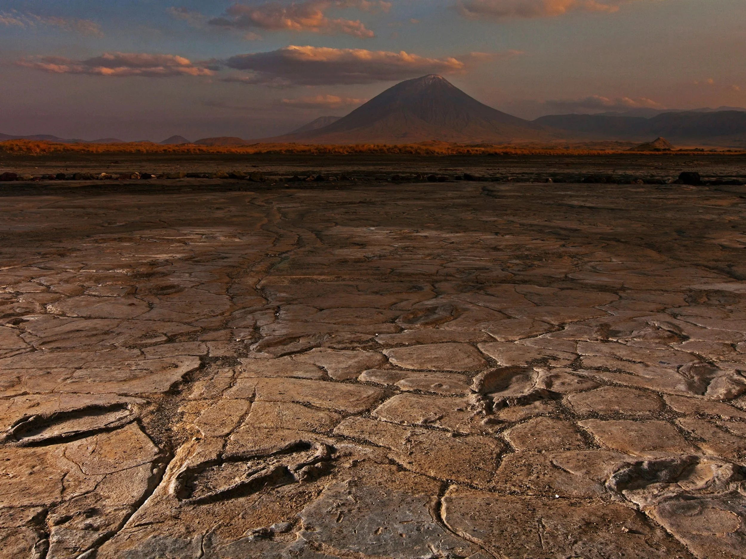 All Results - 1 of 1 (2).jpeg