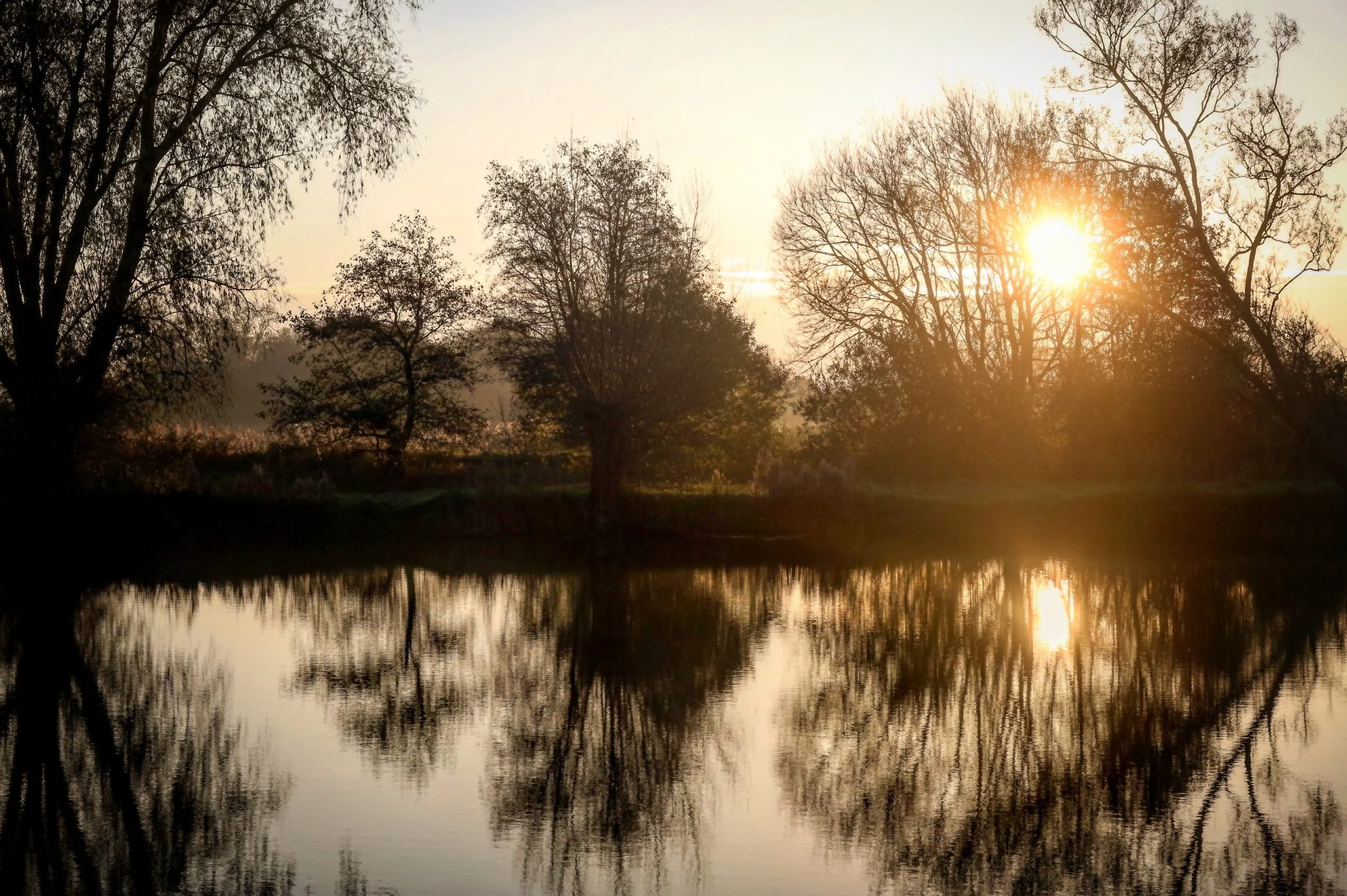 Untitled - 1 of 1.jpeg