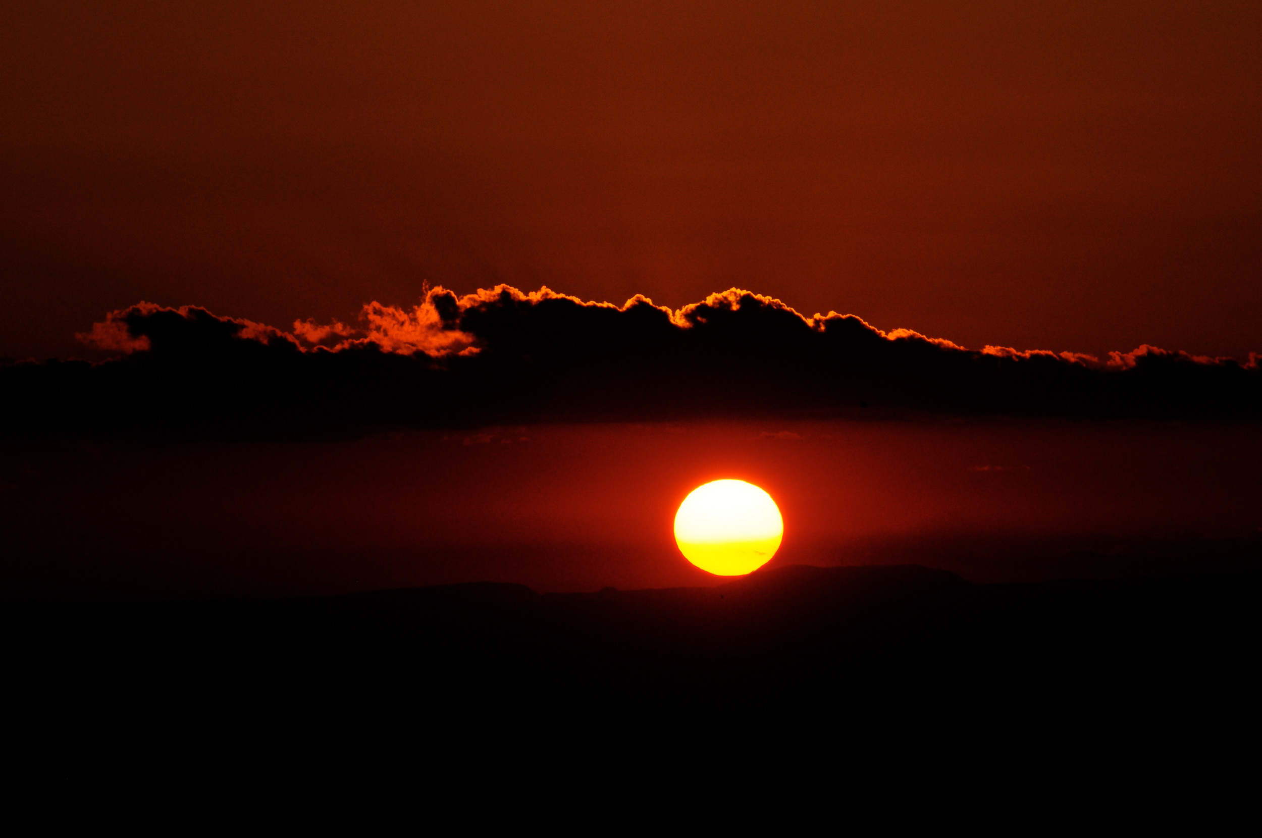 DSC_4003c.png