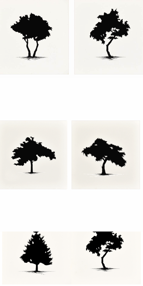 AM trees.png