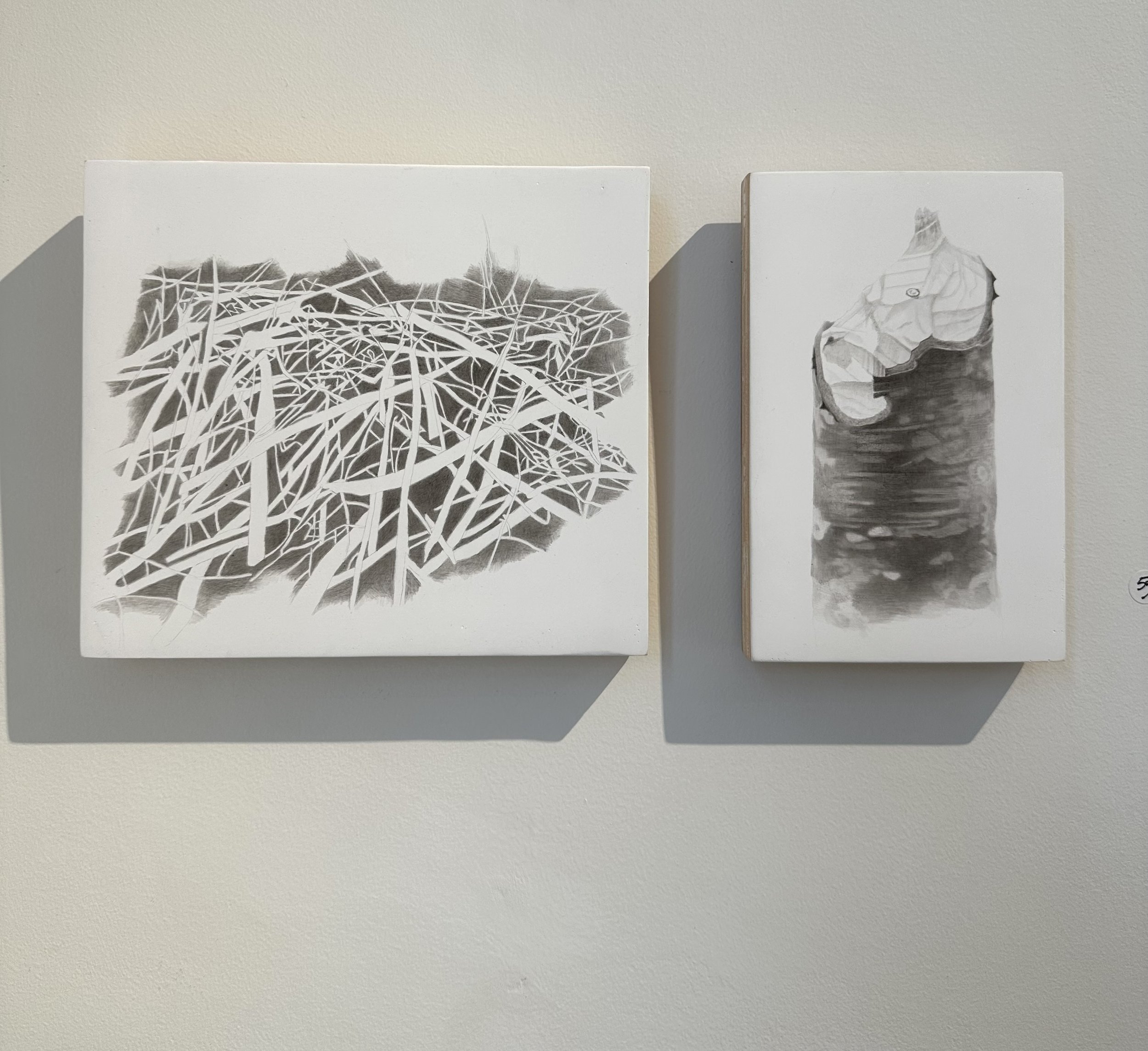 Installation shot . Meg Alexander . Beaver Dam Study #1 2007 . India ink, graphite, gesso on board . 6.75" x 7.75" x .75" and Stump 2-7-11 . India ink, graphite, gesso on board . 7" x 4.5" x .75" . each $500