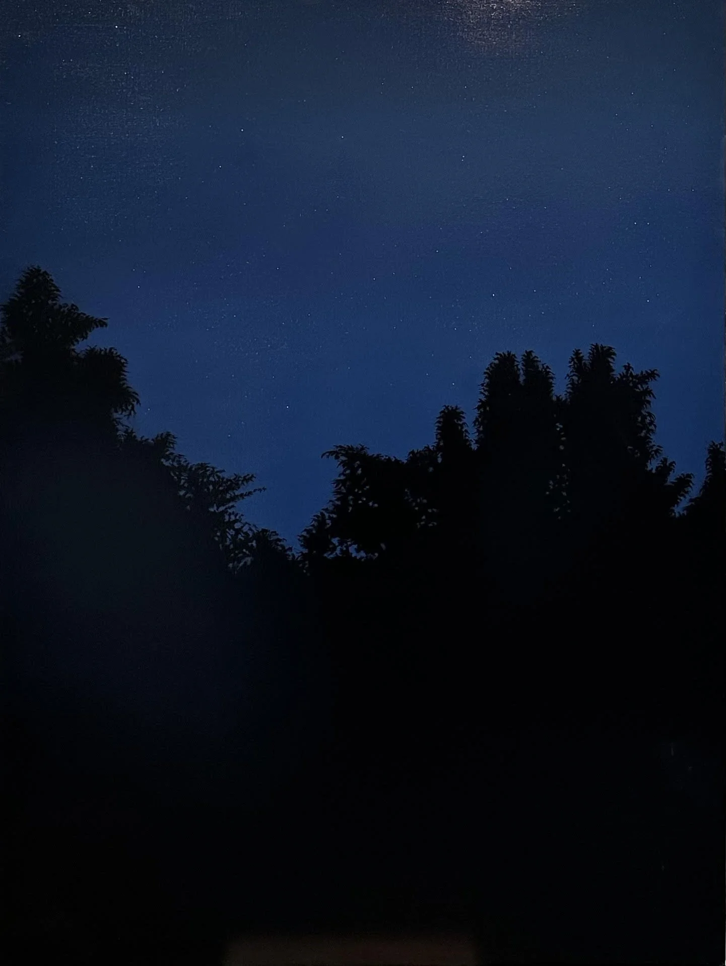 Night sky.jpg