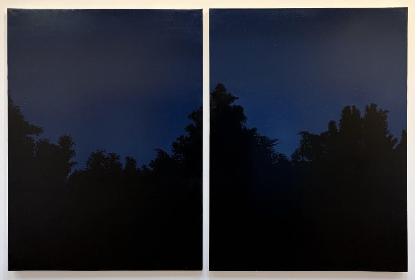 AM Nightfall 48x72.png