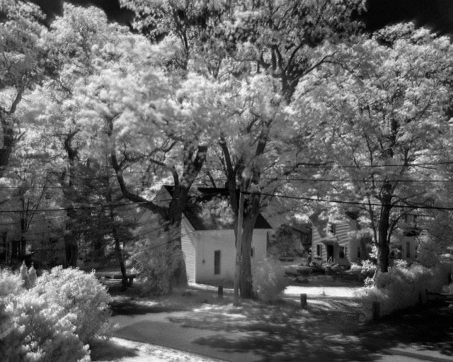 Lee Nadel . House Under Trees 2015 . Infrared photograph, archival pigment print . 12" x 15" 
