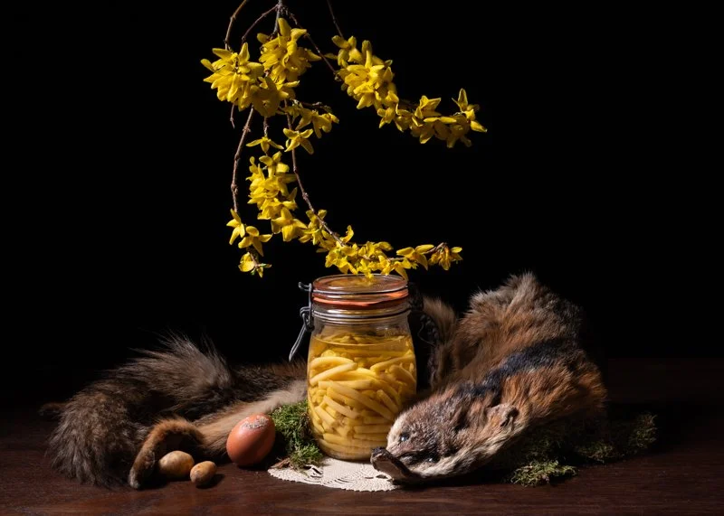 Wax Beans with Eggs and Potatoes
2024
Archival Pigment Print, Ed. 1/6
Image 15” x 21”
Frame, Optium UV Plexi 18” x 24”