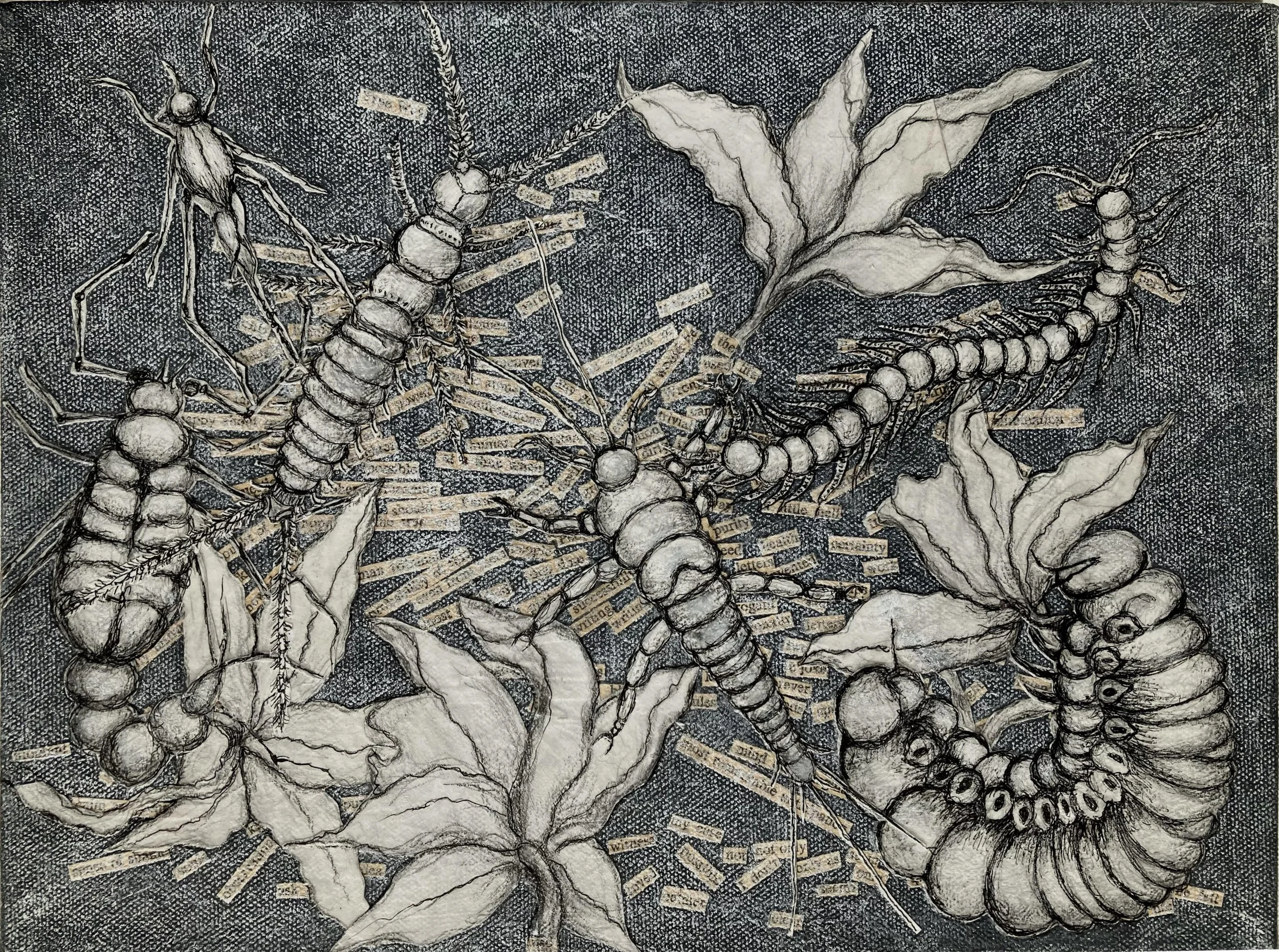 Susan Erony . Larva 2025 . Acrylic, pencil, ink, paper, acrylic medium on canvas . 9" x 12"