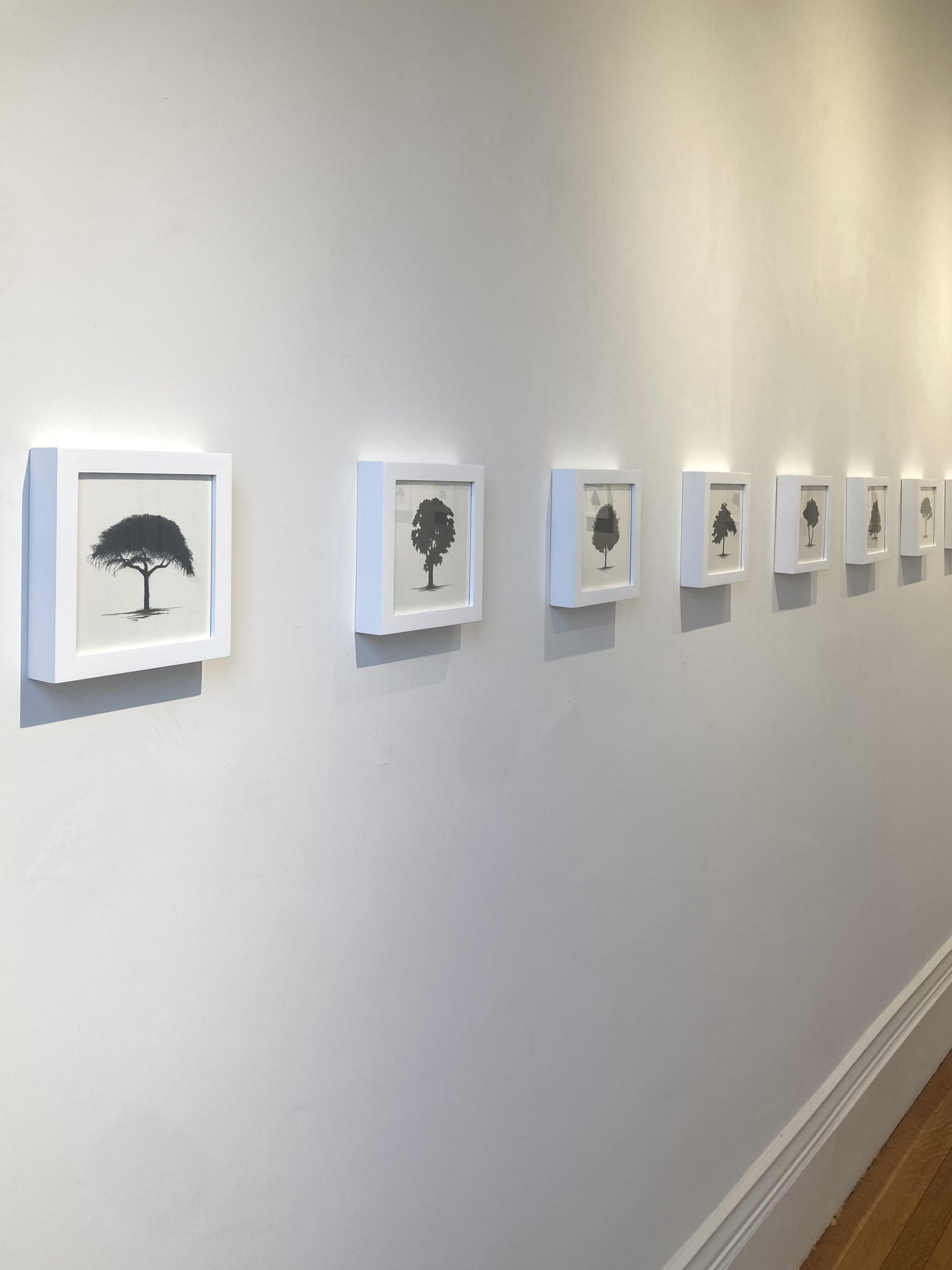 Installation shot 3