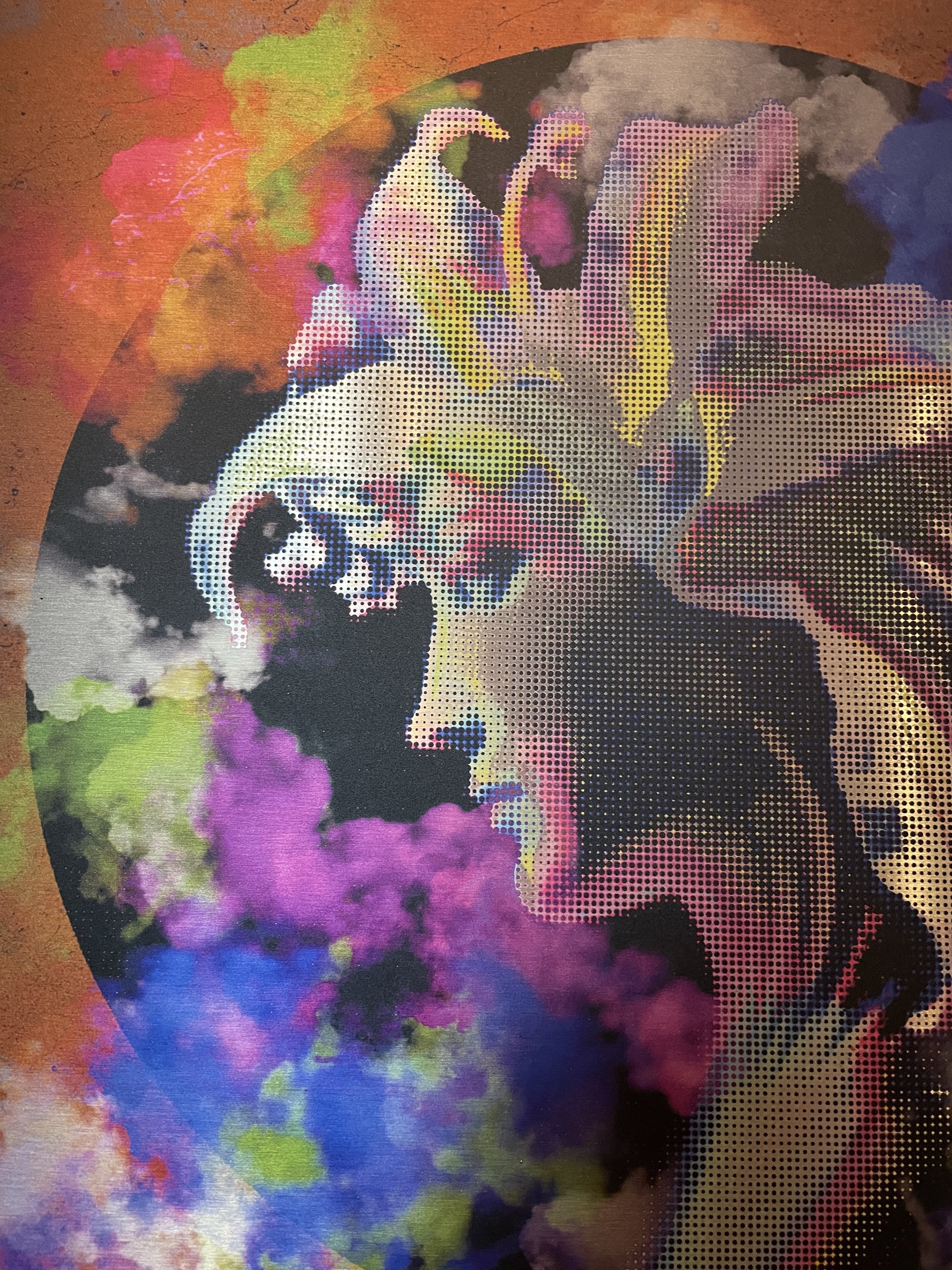 6C19BC28-D9BA-4008-B9D0-C997ECE9EBF9.jpeg
