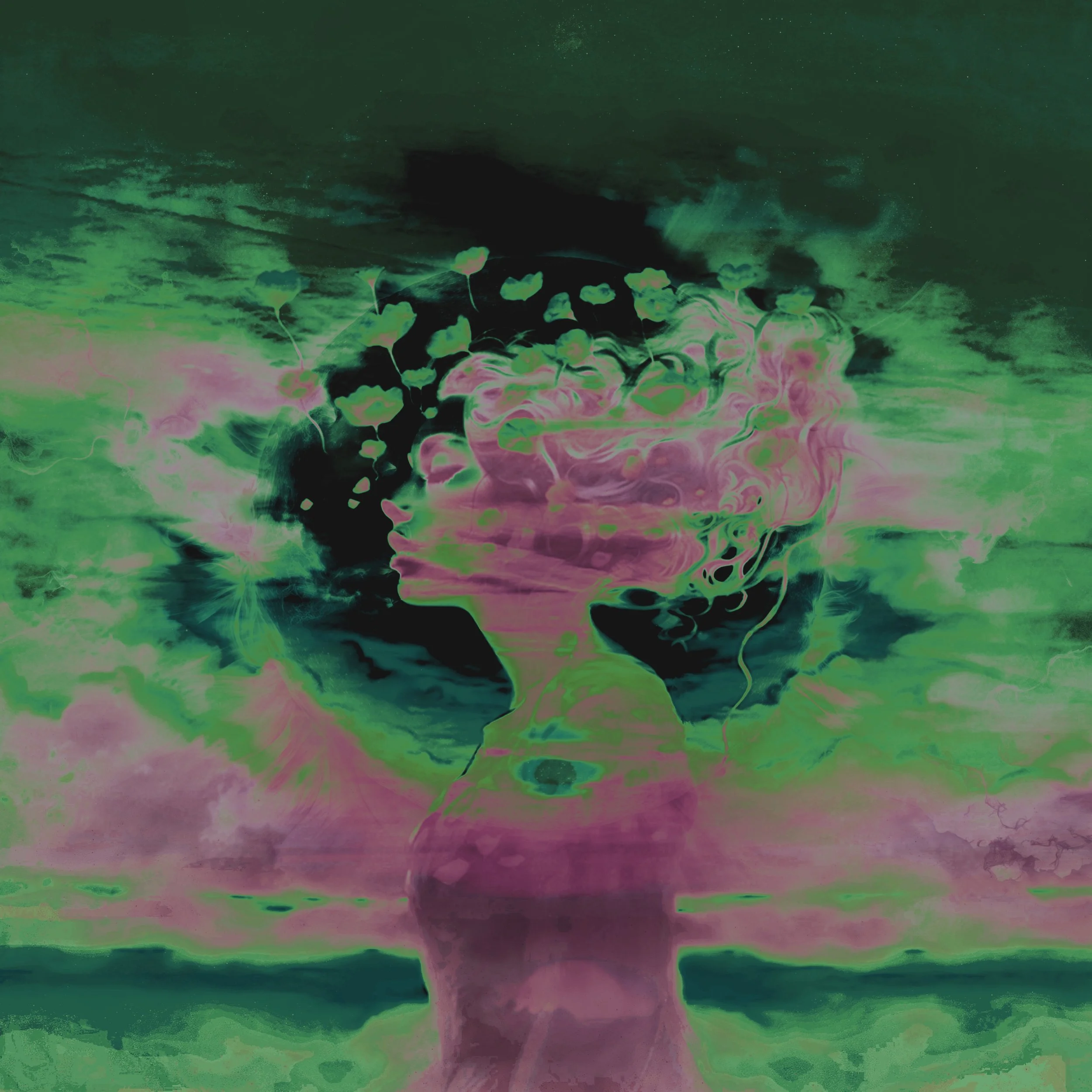 Untitled_Artwork 31.jpeg