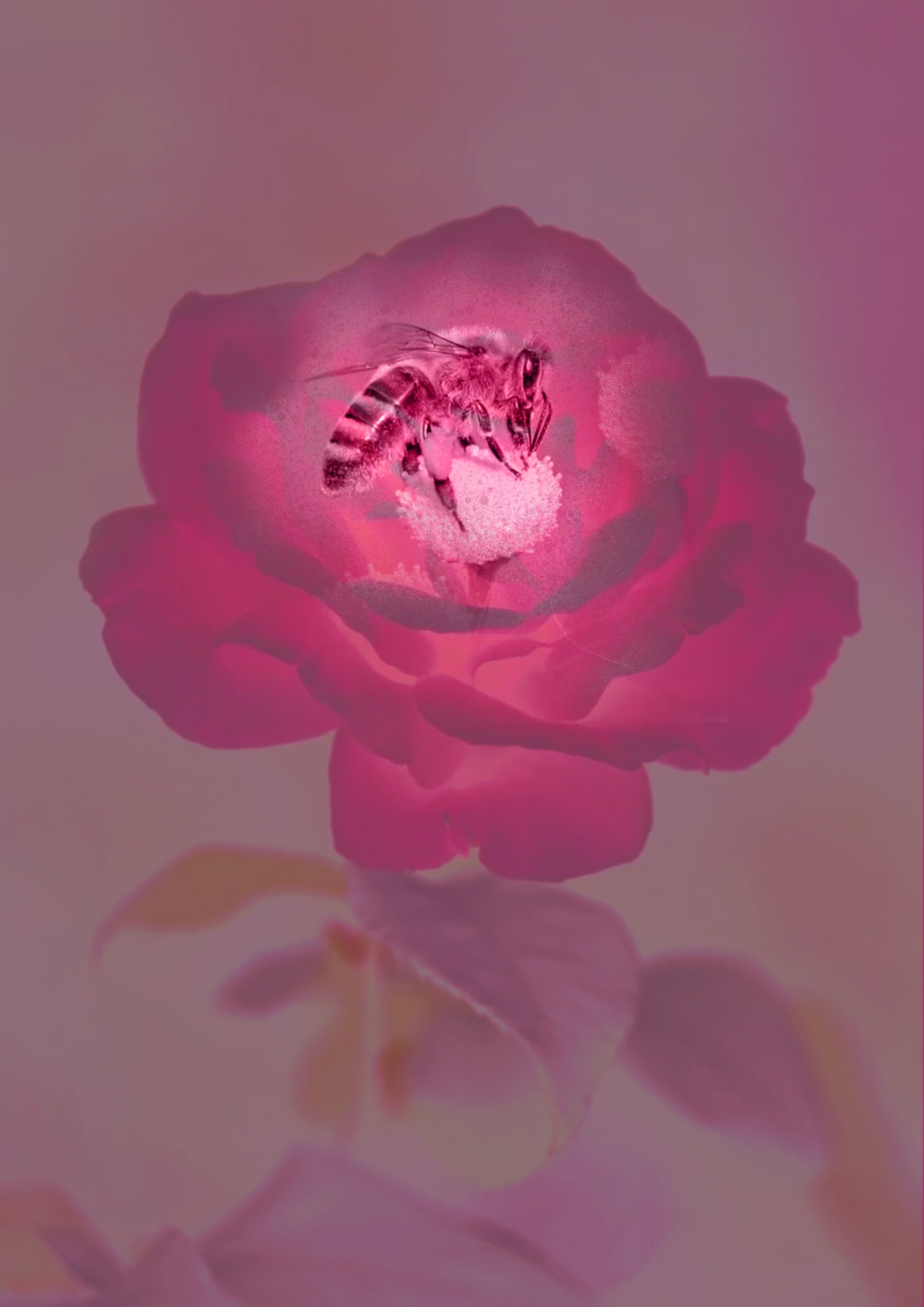 Untitled_Artwork 62.jpg