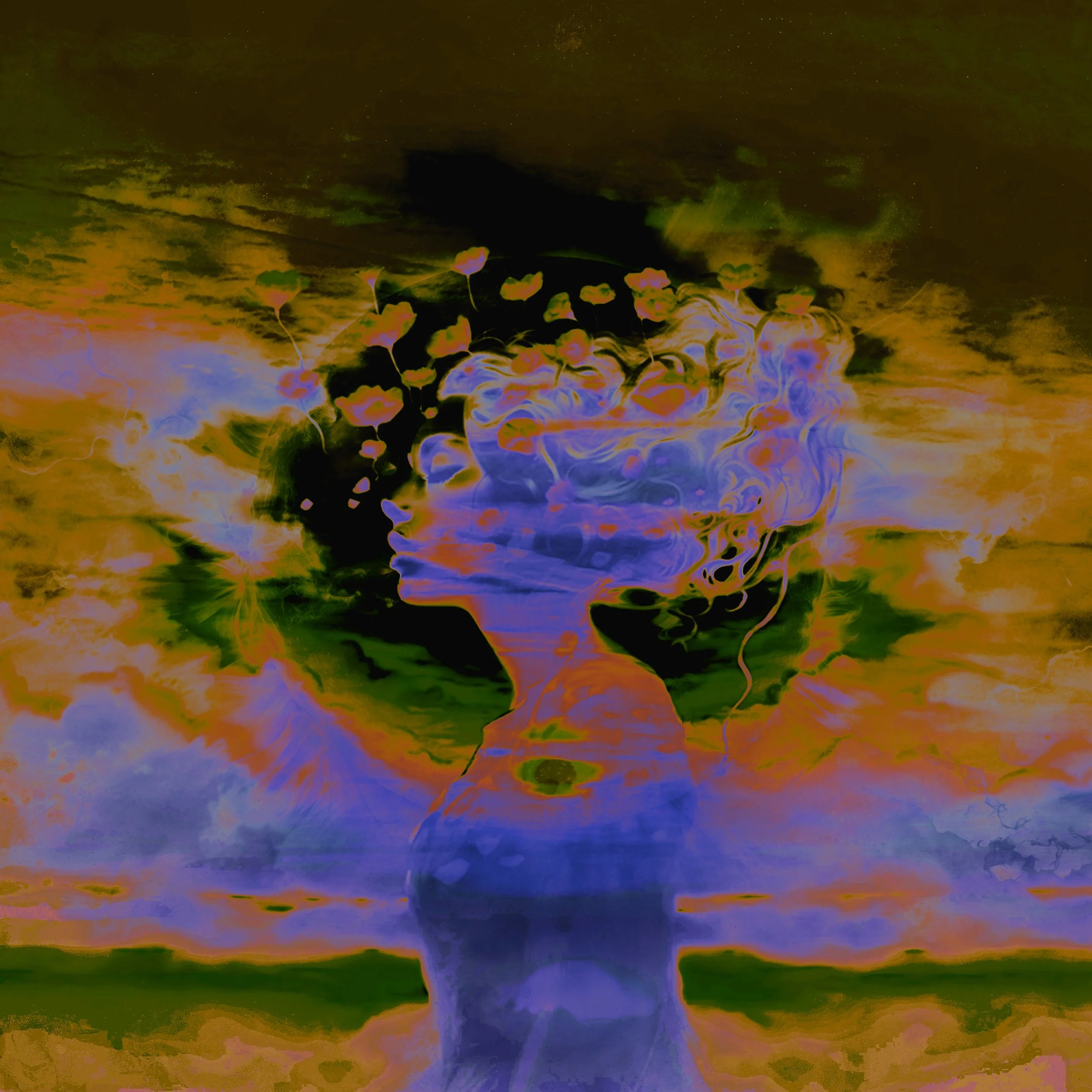 Untitled_Artwork 33.jpeg