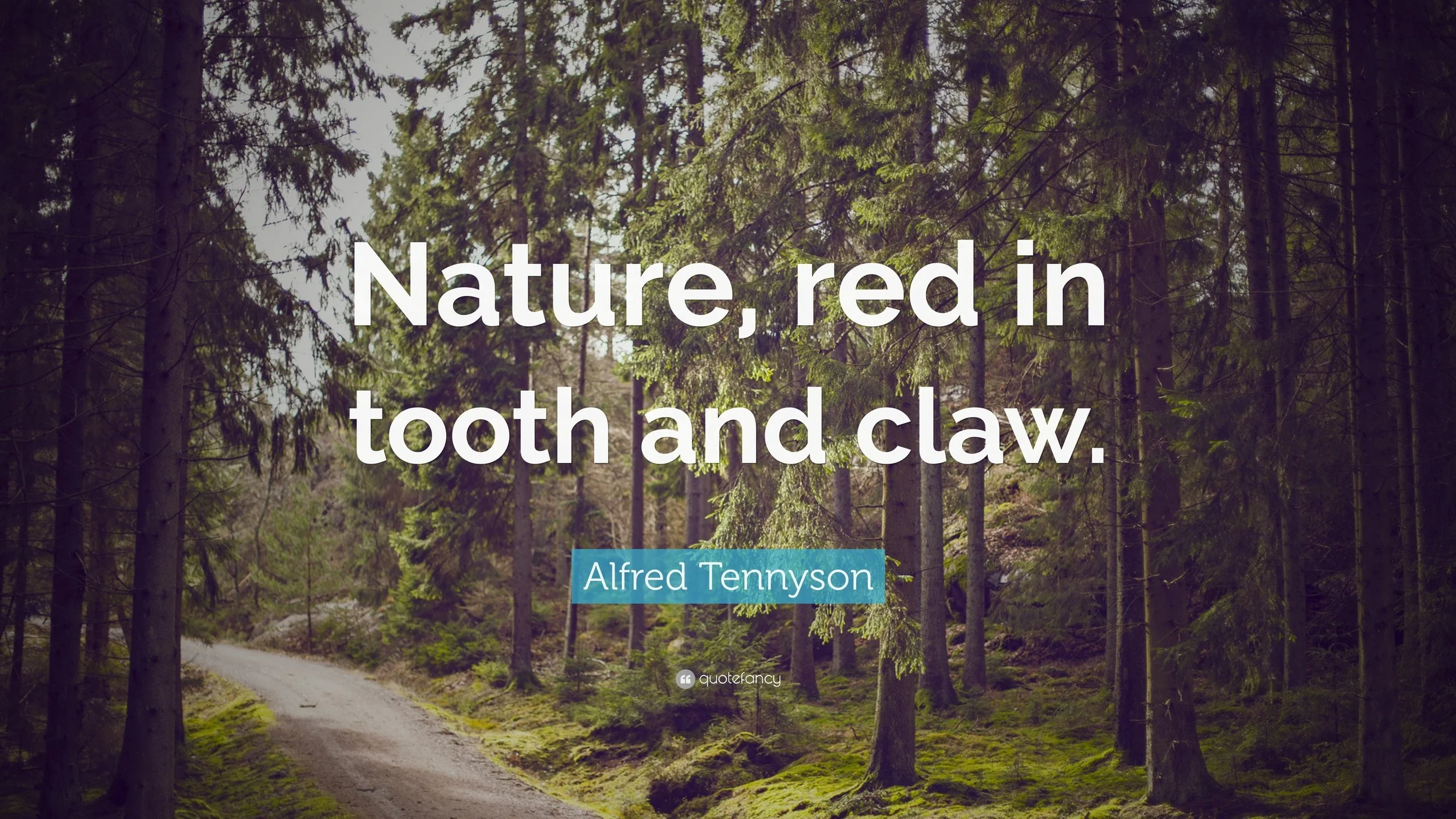 Nature, Red in Tooth and Claw