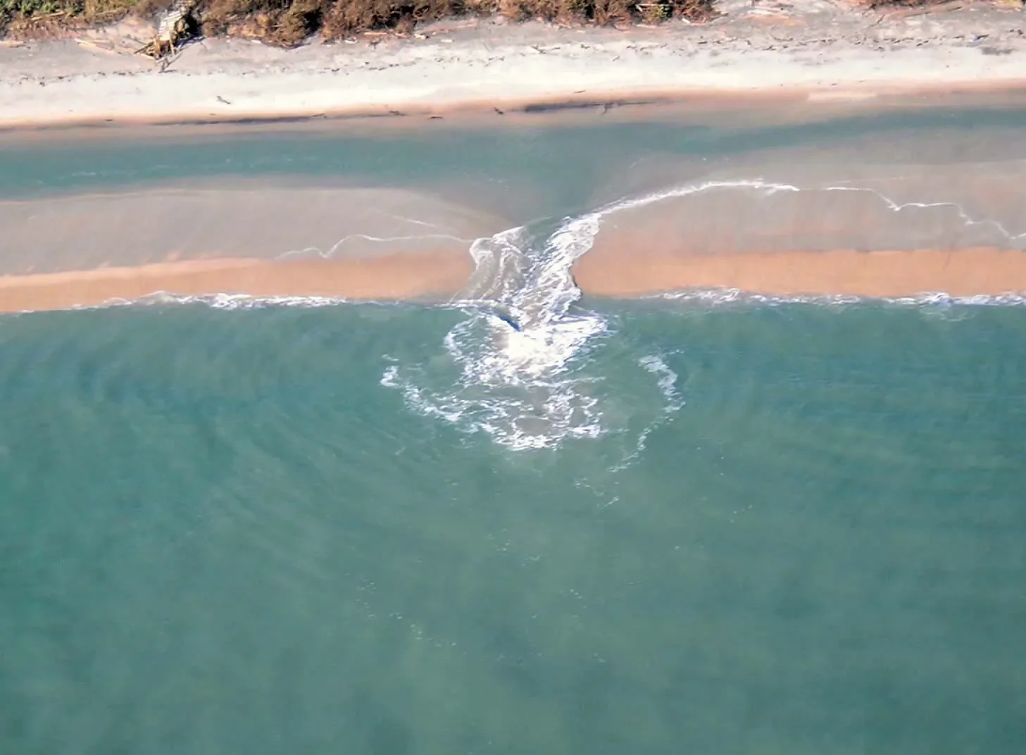 The Tide is High