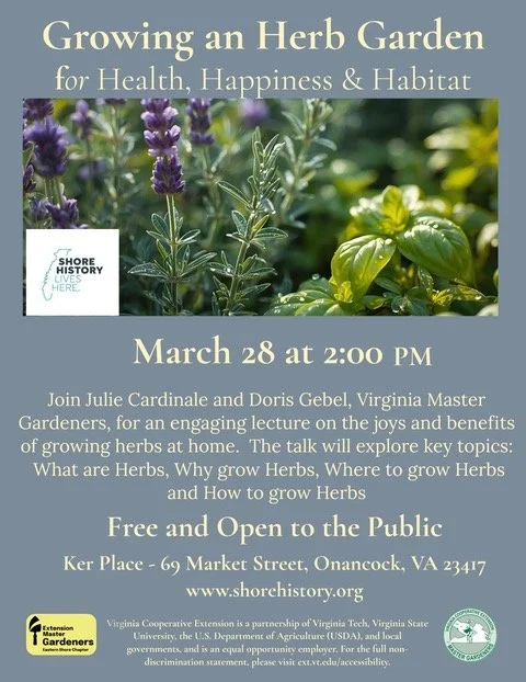 Growing an Herb Garden