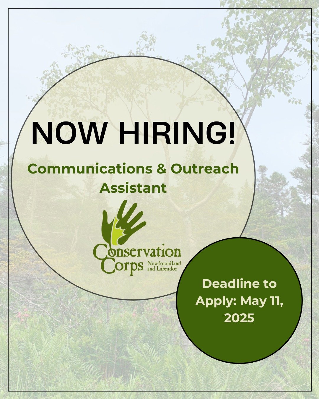 CCNL is now accepting applications for our Communications & Outreach Assistant position! ๐ฟThe successful candidate will work closely with our Communications Coordinator and our Environmental Education Team to assist with the the development and