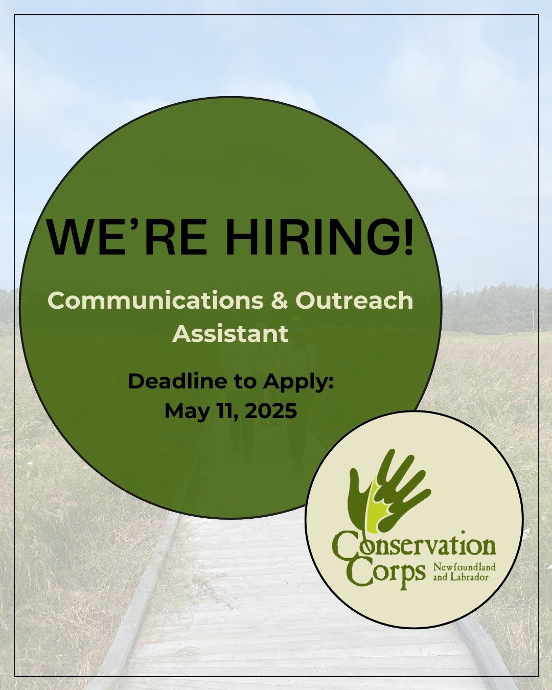 CCNL is looking for a Communications and outreach Assistant๐ The successful candidate will work closely with our Communications Coordinator and our Environmental Education team and assist with all relevant needs. Visit our website through the link i