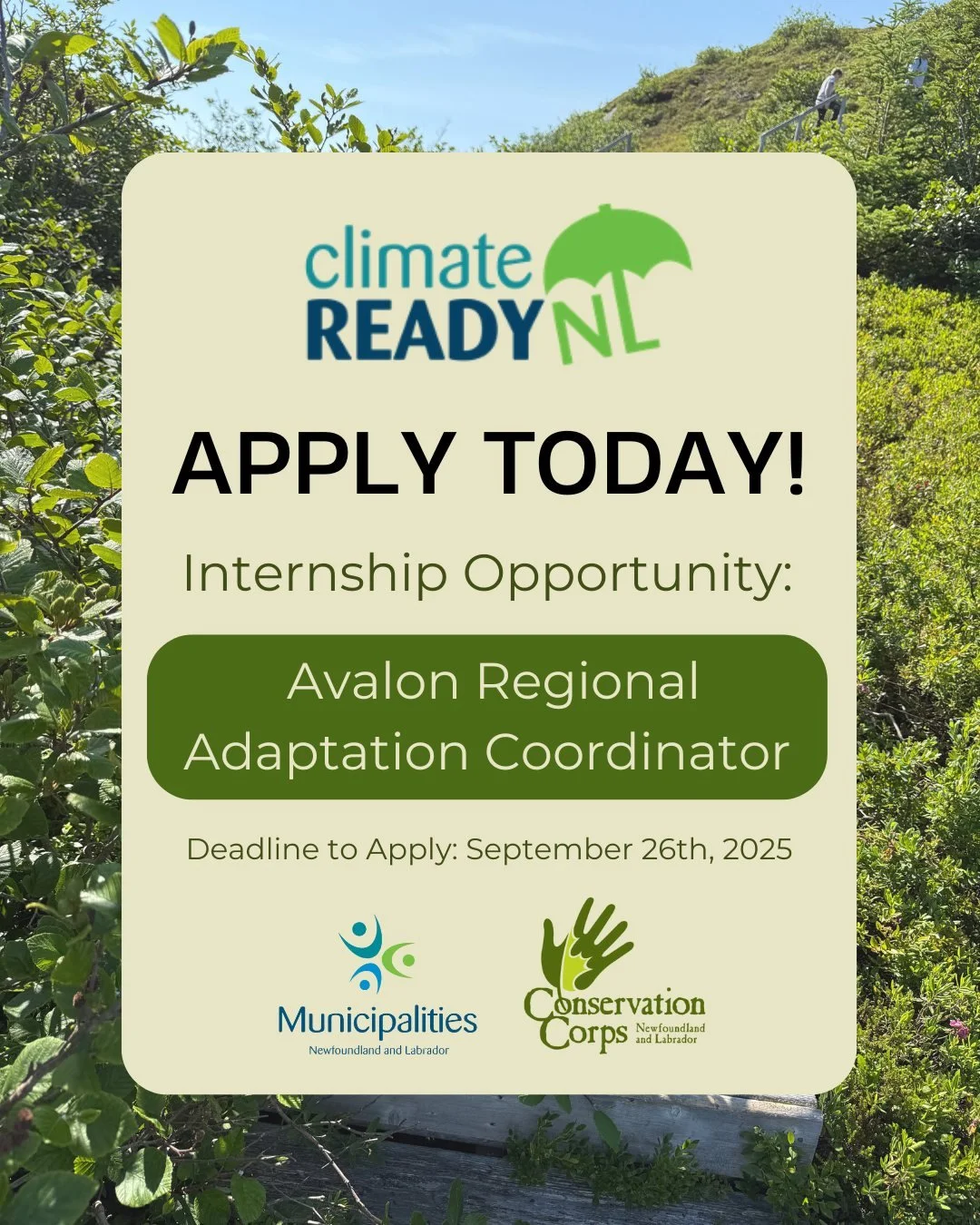 Join our team on the Avalon! ๐๐ฟ Are you passionate about regional climate research, engaging with communities and creating climate data summaries? We're looking for an Avalon Regional Adaptation Coordinator to support the Climate-Ready NL initiativ