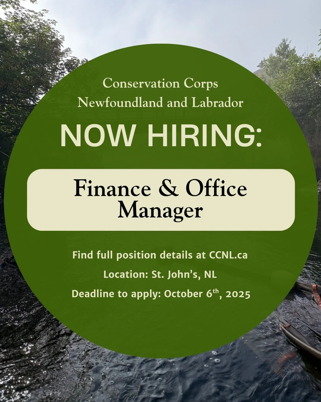 🔔CCNL is seeking a confident, energetic, and collaborative team player for the full-time position of Finance and Office Manager.🔔
The Finance and Office Manager will manage budgeting, payroll, financial reporting, oversee office operations and adm