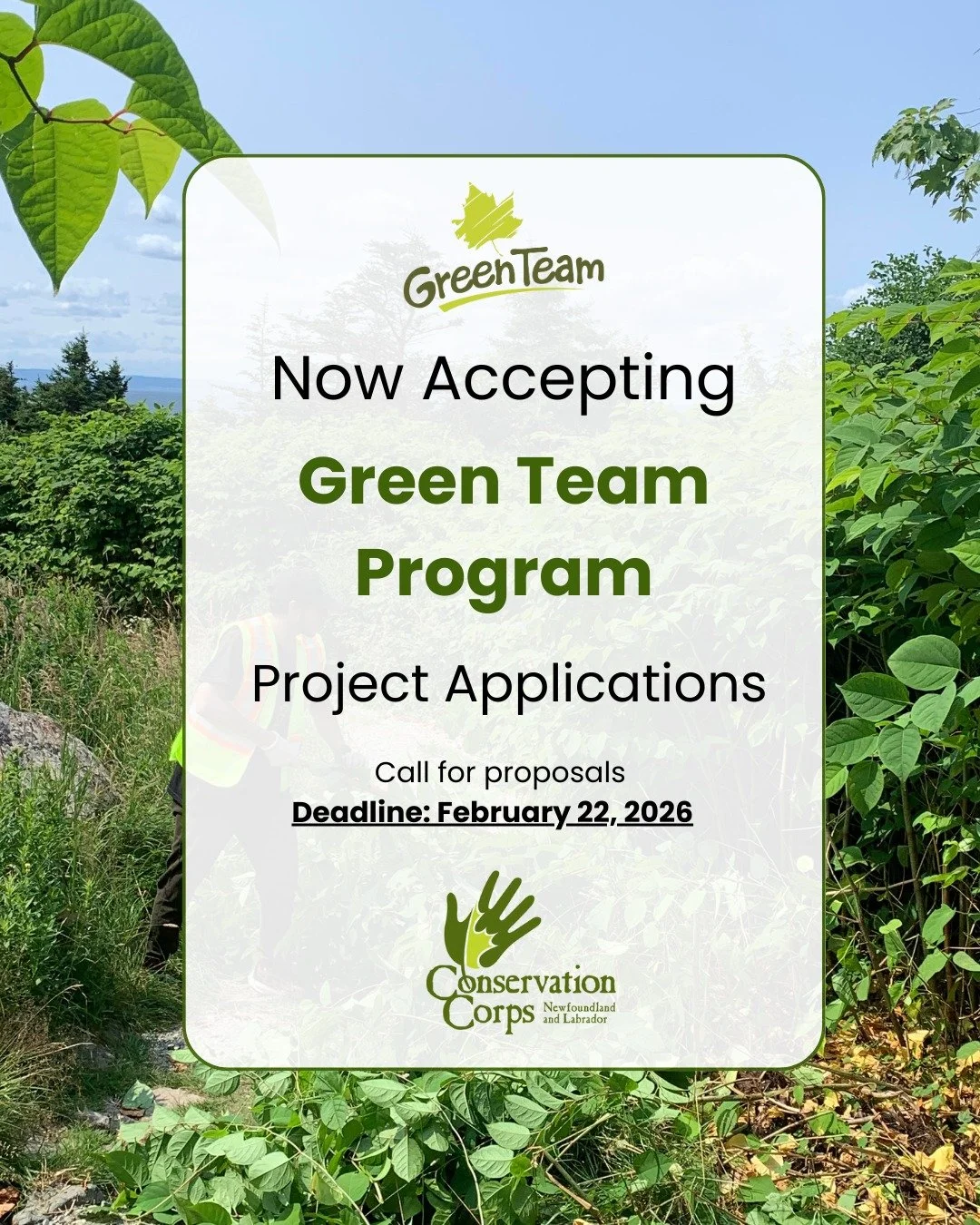 🌿Calling new and past Community Partners! 🌿
CCNL is happy to announce that our Green Team program applications are now open for the 2026 season. These projects create meaningful opportunities for youth while advancing your local conservation goals.