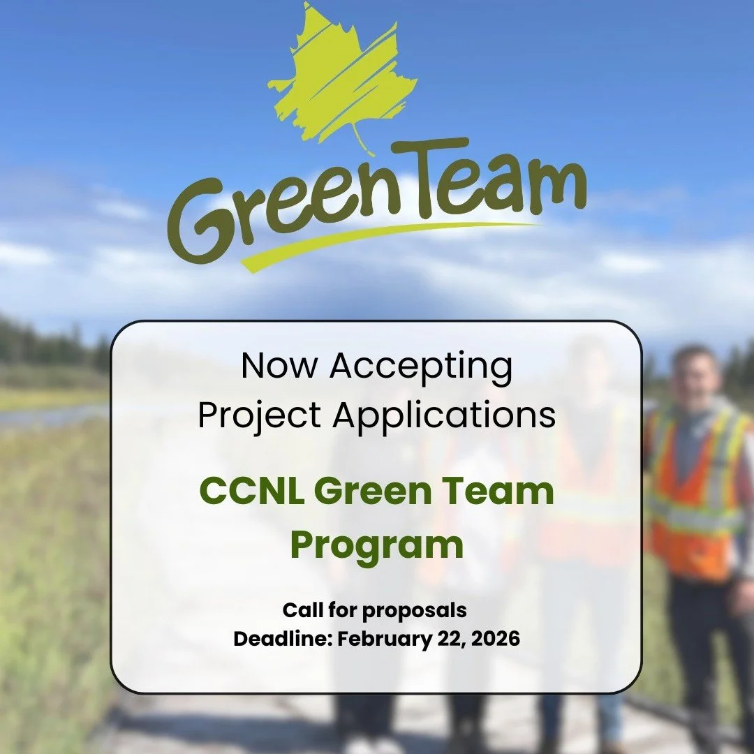 Explore the incredible impact of past Green Team projects! Visit our website at https://www.ccnl.ca/programs/green-team or the link in our bio to view past project descriptions. Get inspired and develop YOUR unique project idea. We are always availab