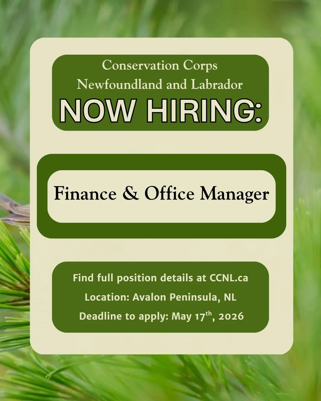 🔔CCNL is seeking a confident, energetic, and collaborative team player for the full-time position of Finance and Office Manager.🔔

The Finance and Office Manager will manage budgeting, payroll, financial reporting, oversee office operations and adm