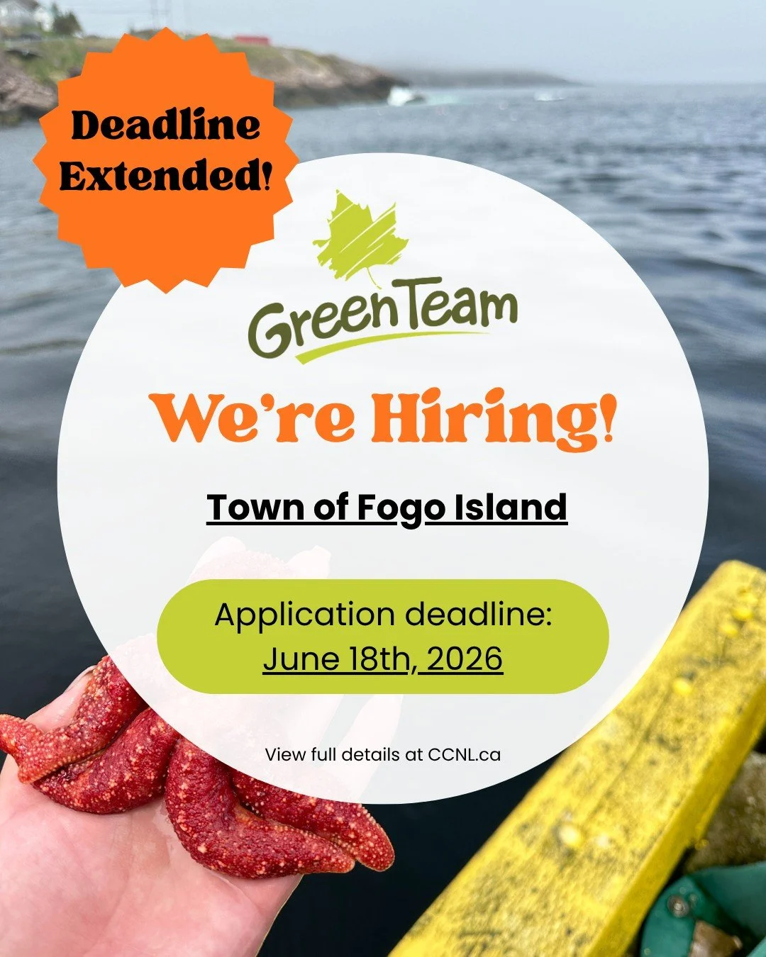 Are you looking for an amazing summer opportunity? Join the Town of Fogo Island Green Team this summer! Find full details and how to apply at https://www.ccnl.ca/employment/job-opportunities.