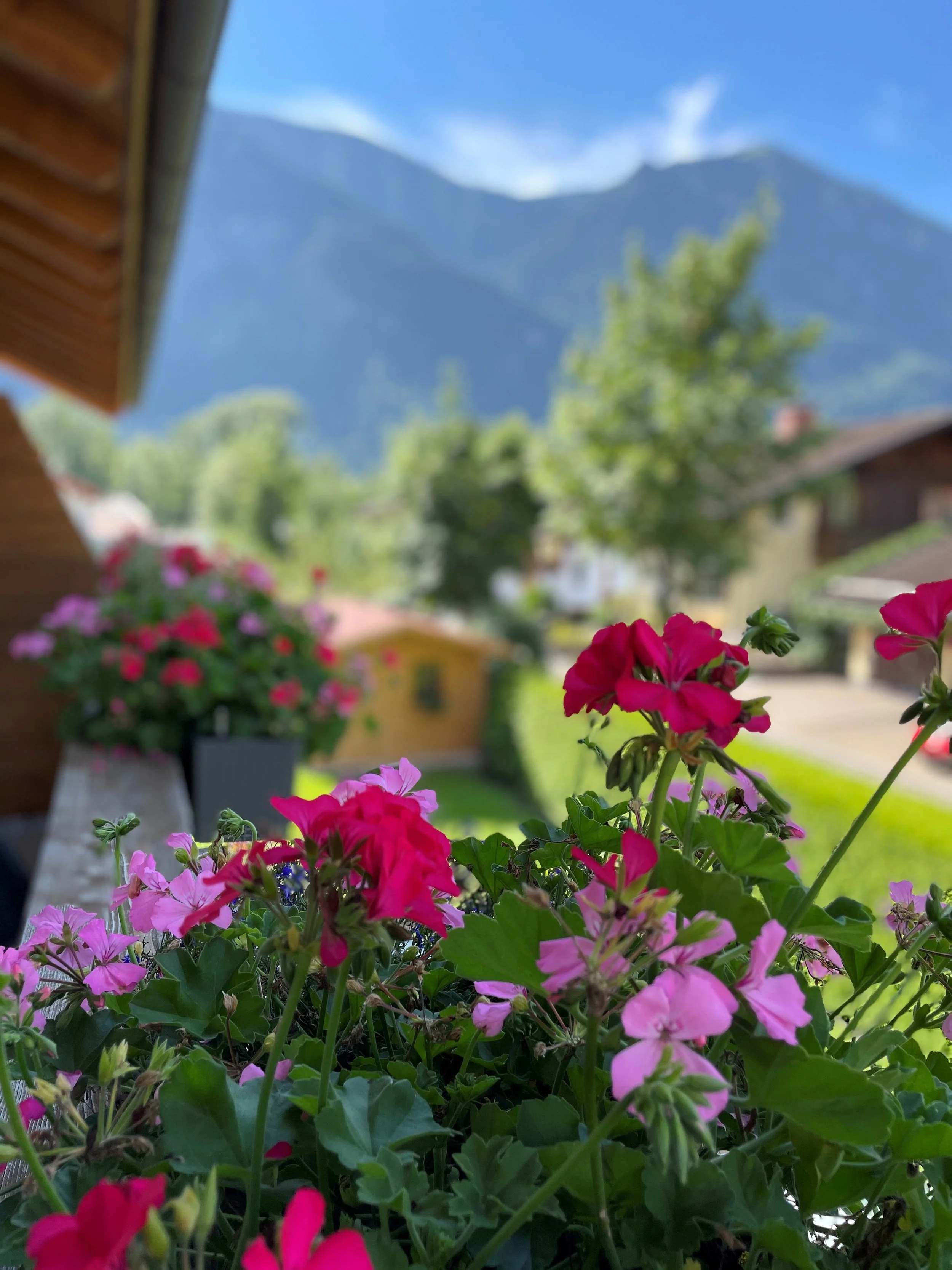 Balcony with mountain view