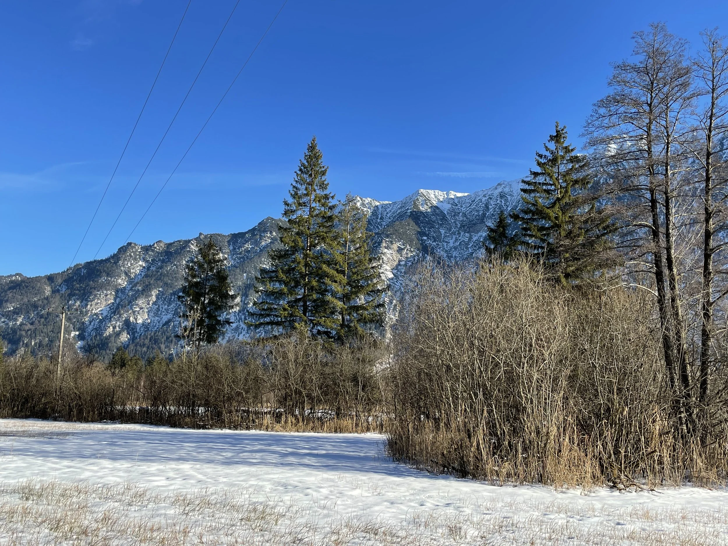 Ski-holiday near Garmisch-Partenkirchen