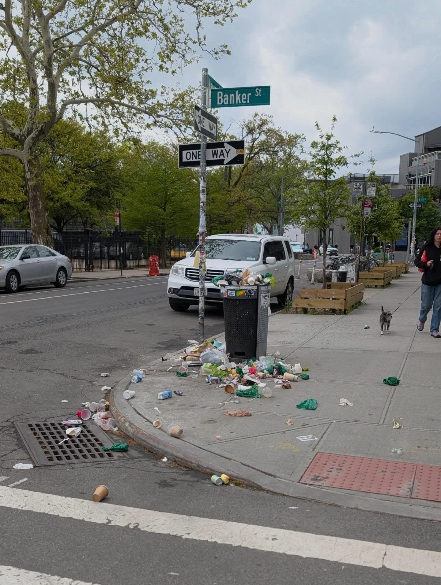 Cleaner streets ✅
Trees with new homes ✅
Thanks so much to everyone who came out on Saturday for the McCarren Park cleanup and tree giveaway! This community is greener and cleaner because of you all.