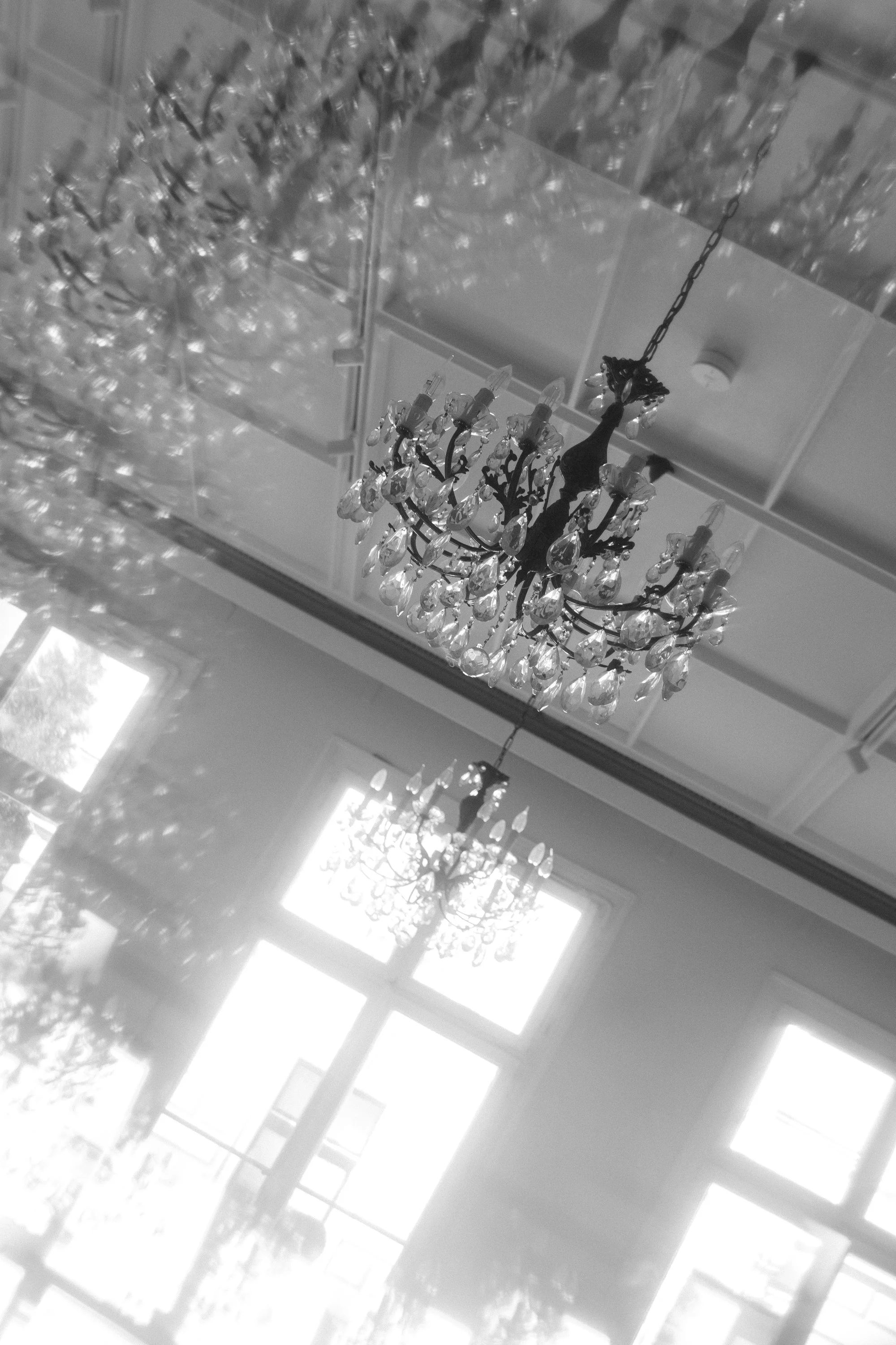 Joanabuchmayer - Thomas & Lisa - 08.03.25 - online-47.jpg