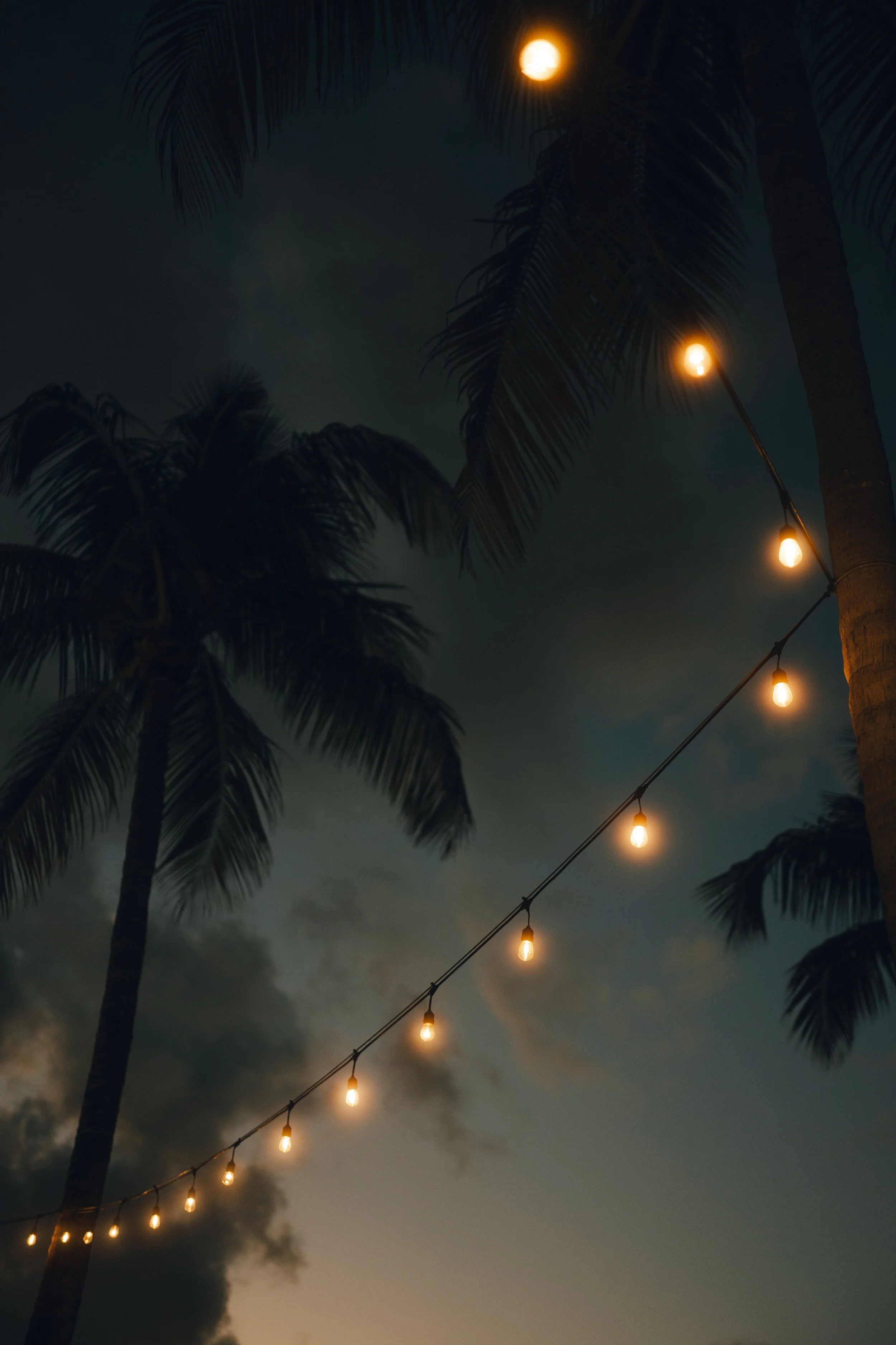 Wedding venue lights - Wedding night italy.jpg