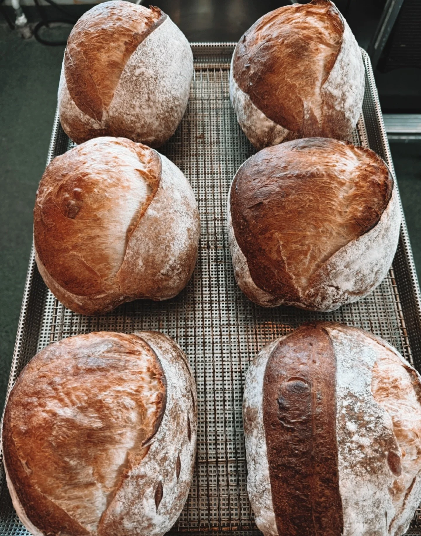 Fresh baked daily 🥖