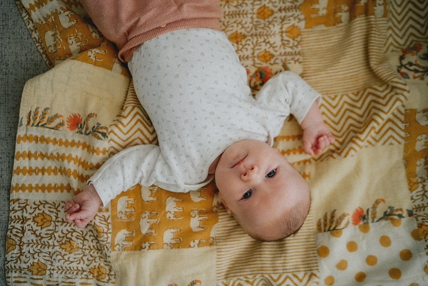 Happy 8 weeks, sweet Hazel. 

Can&rsquo;t believe she&rsquo;s been in our lives for 2 months. It feels like we just met yet, we&rsquo;ve known each other forever. 

Every day she gets a little bigger, which kind of breaks my heart, and a little sweet