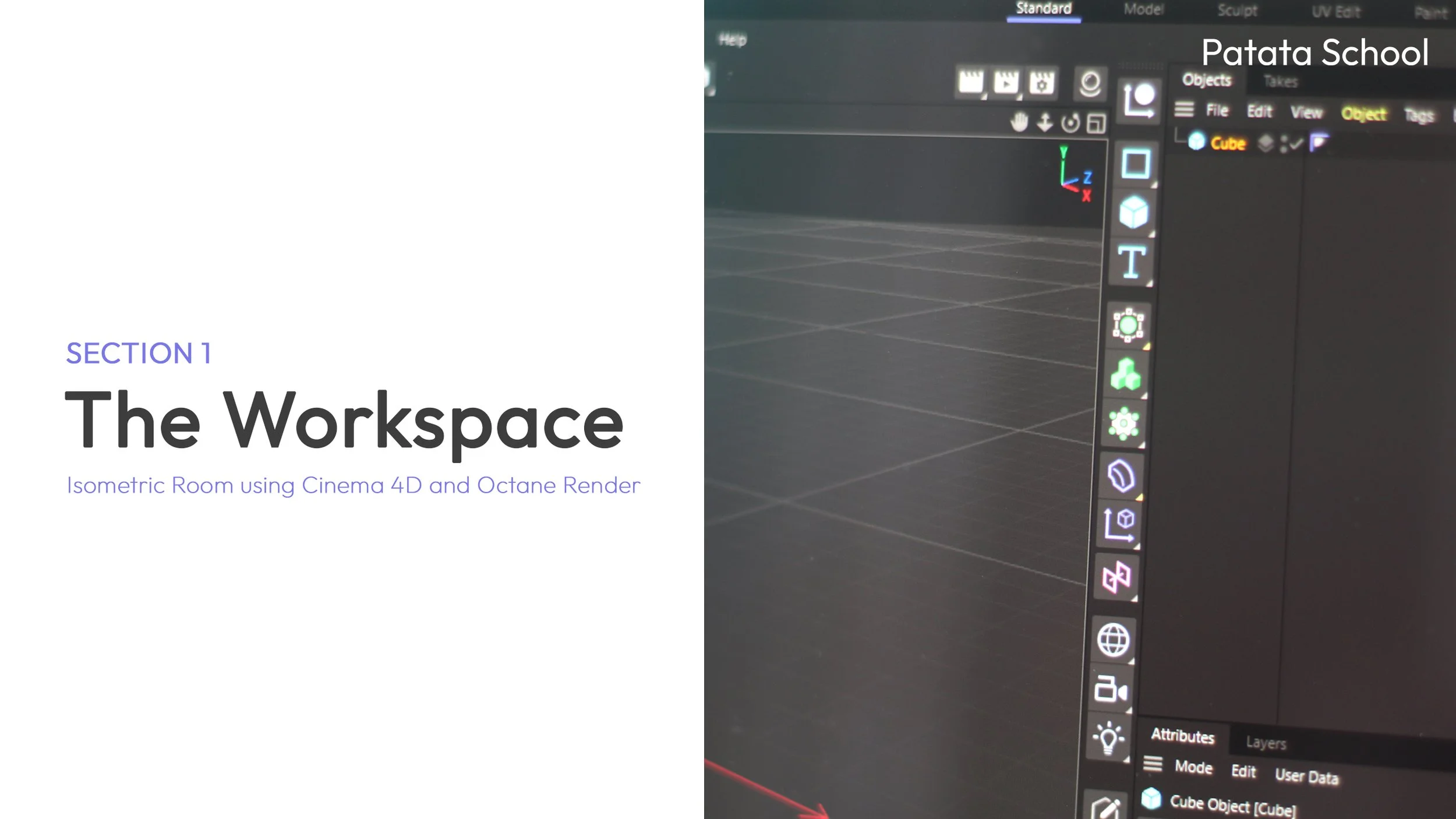 Section 1_Lesson 1.jpg