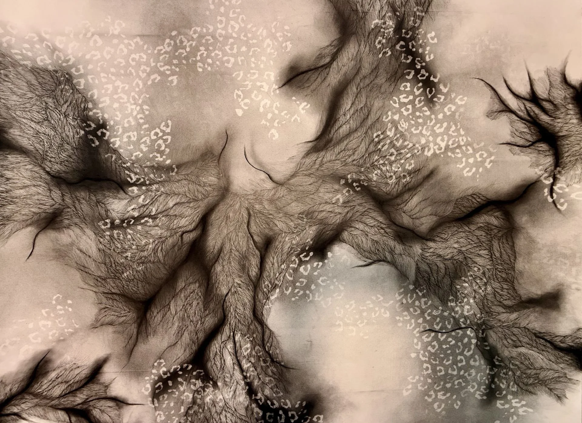 Anya Kalsi - A glimpse into Echoes of Entanglement