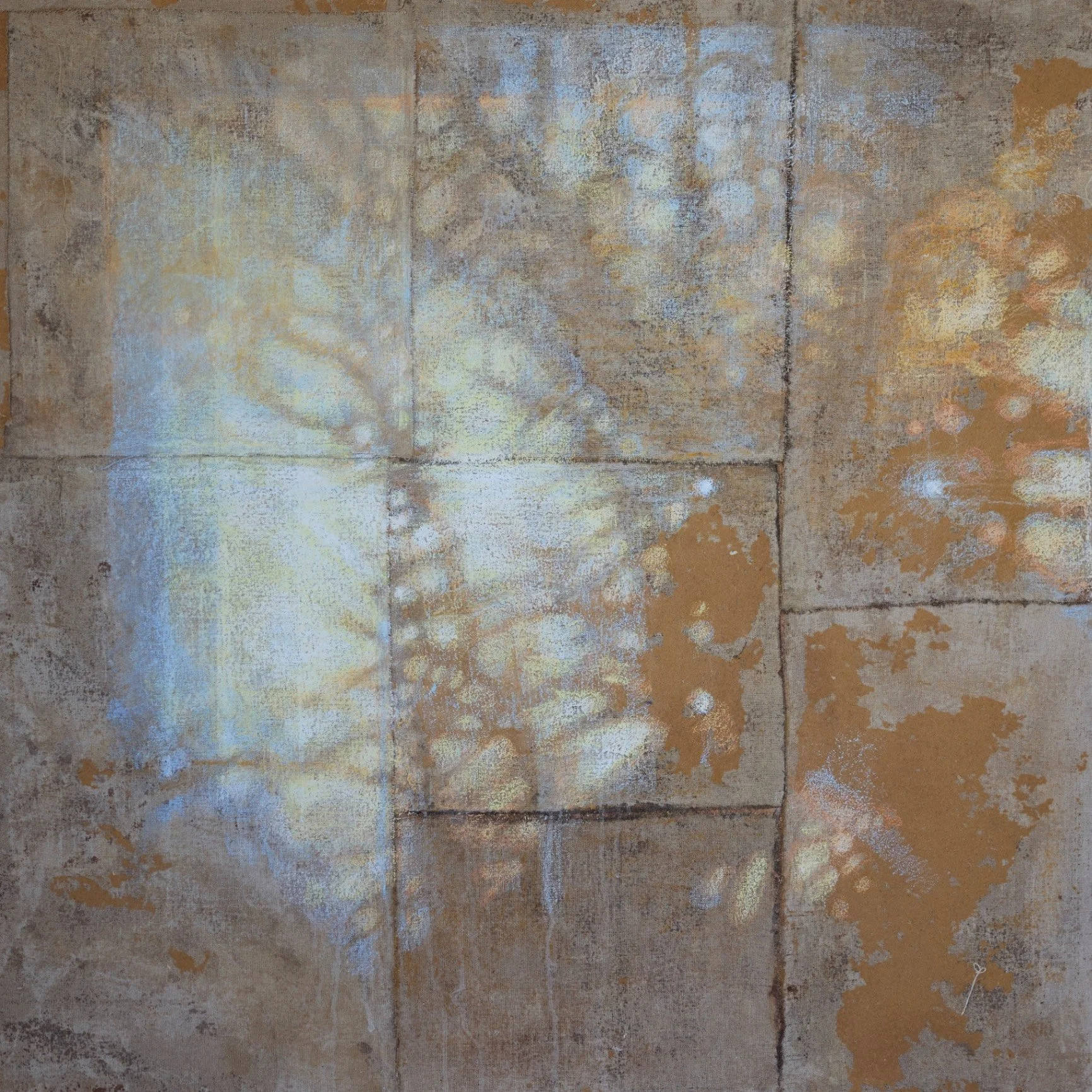 Hannah Davies - Studying light