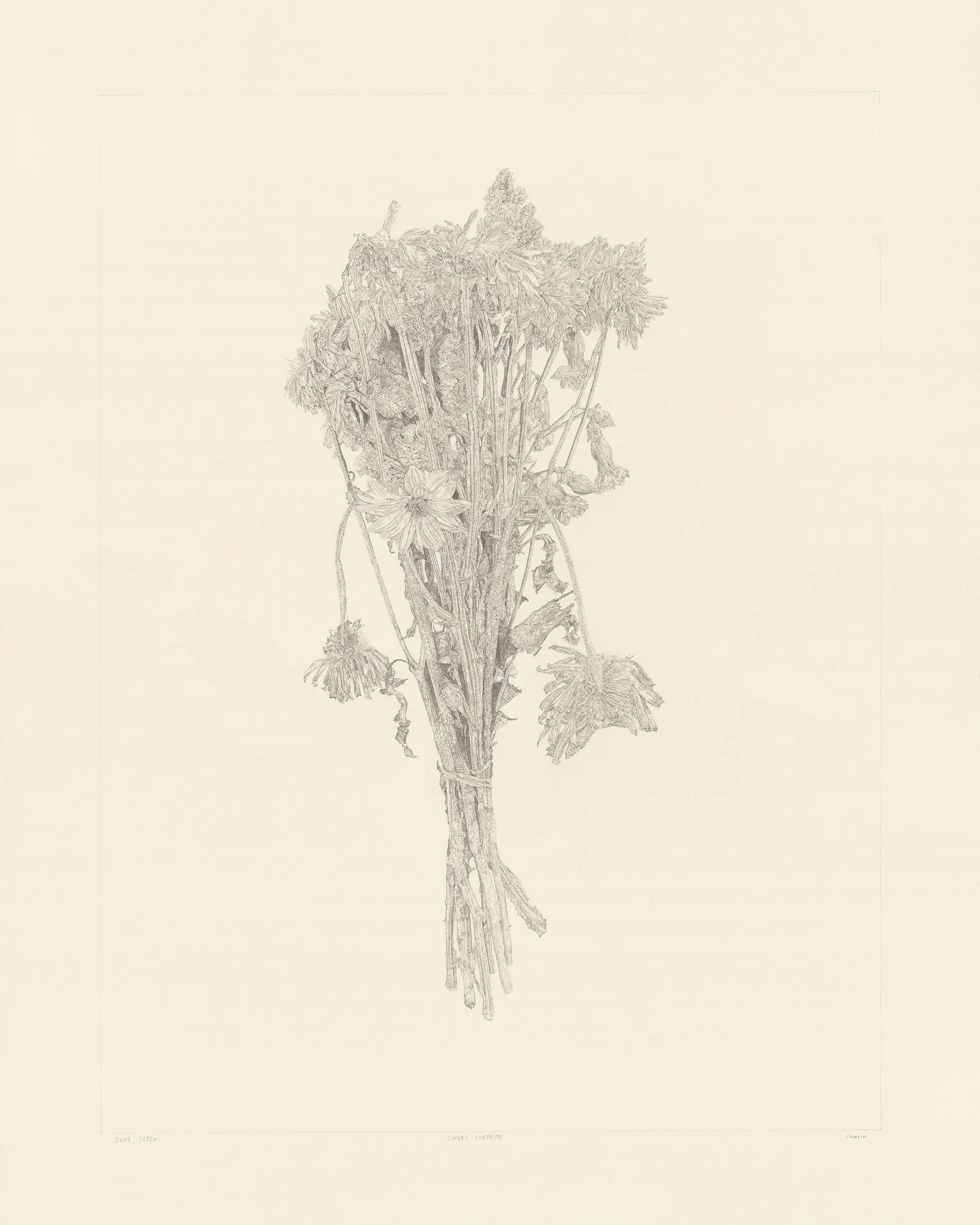 Tamsin Nagel - Sweet Surprise (Tesco)