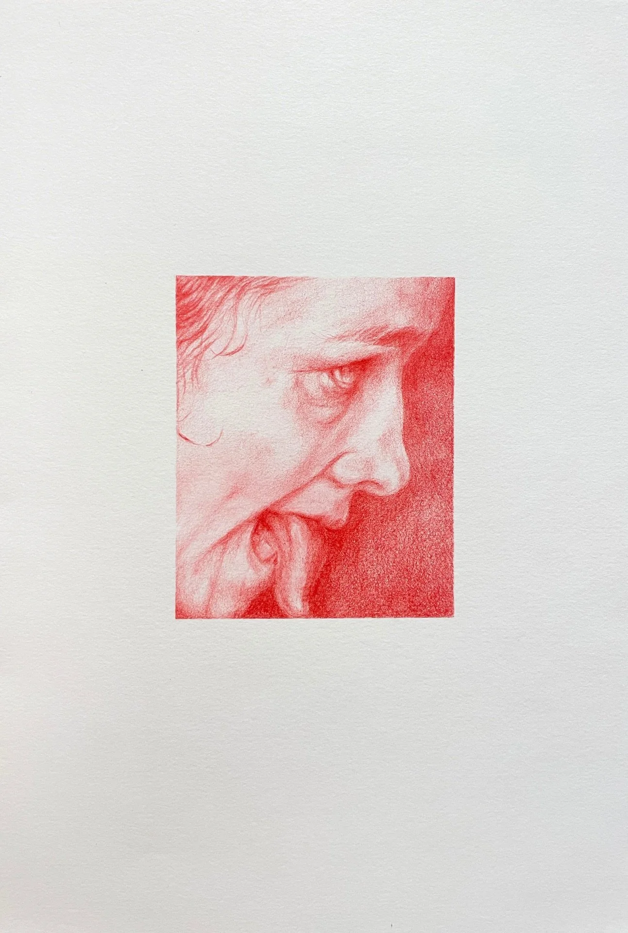 Sylwia Narbutt - Lady into fox