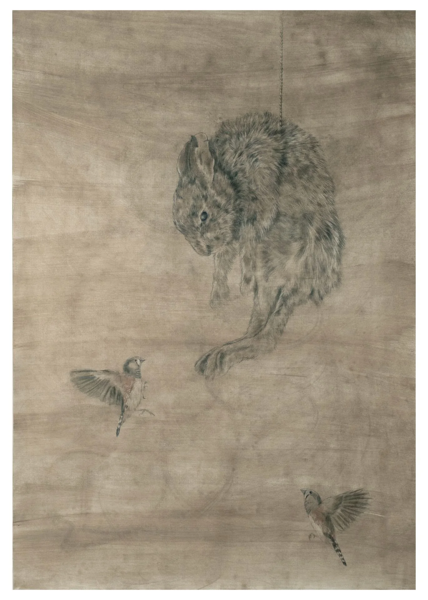 Sandra Macieira - Hanging hare